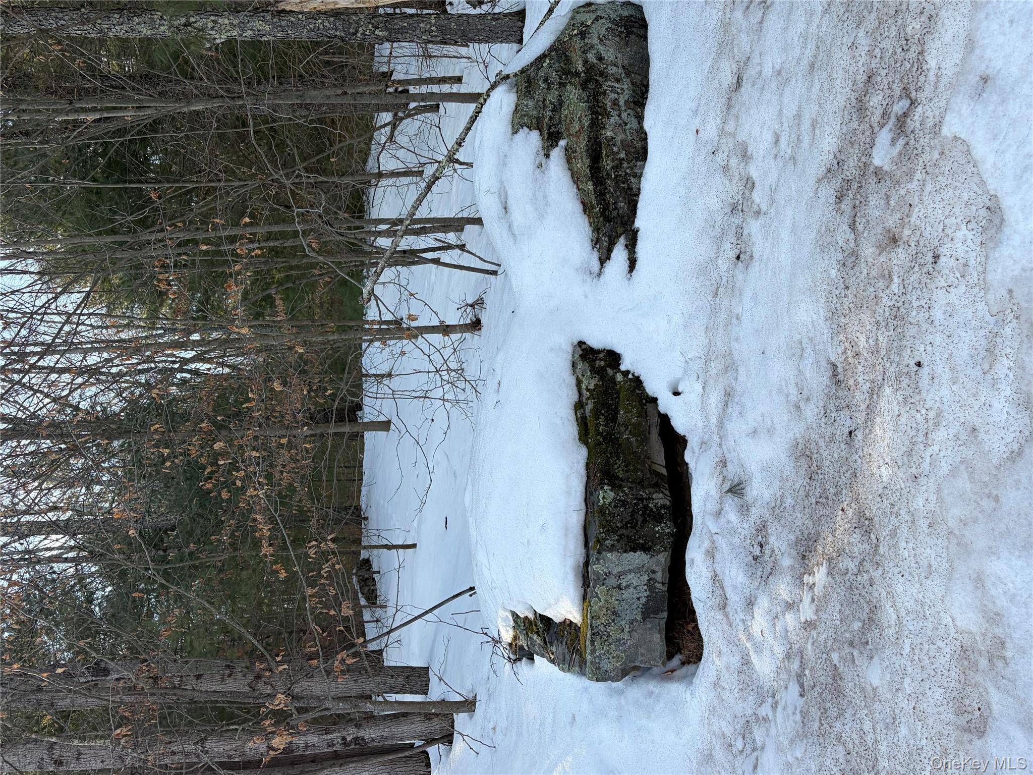 Photo 32