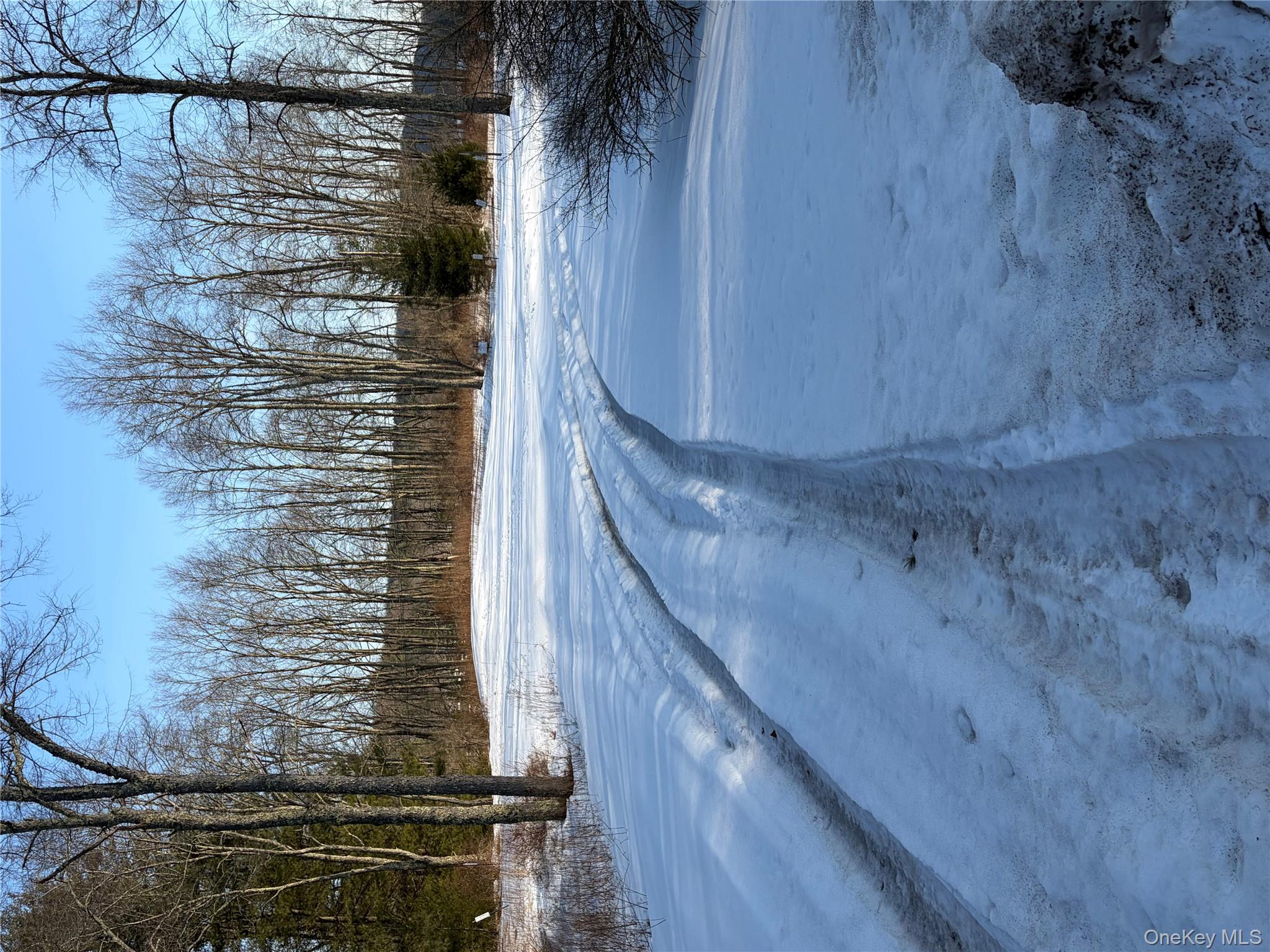 Photo 38