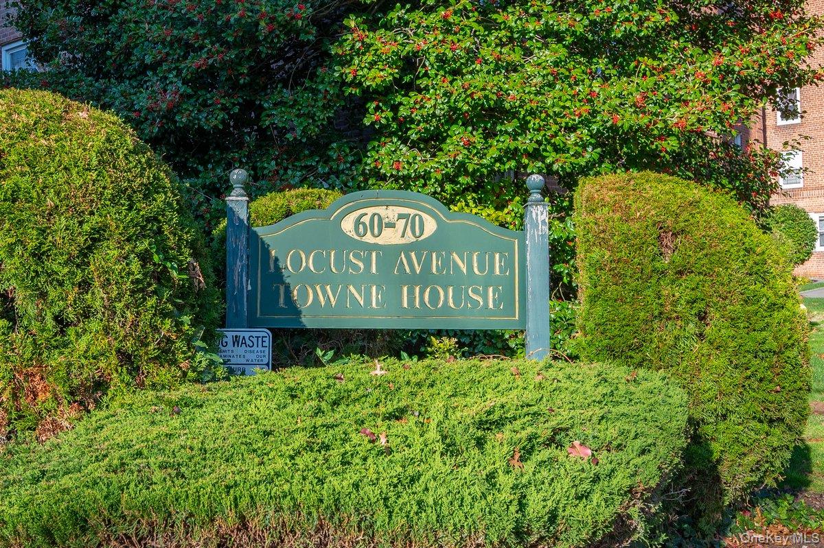 60 Locust Avenue