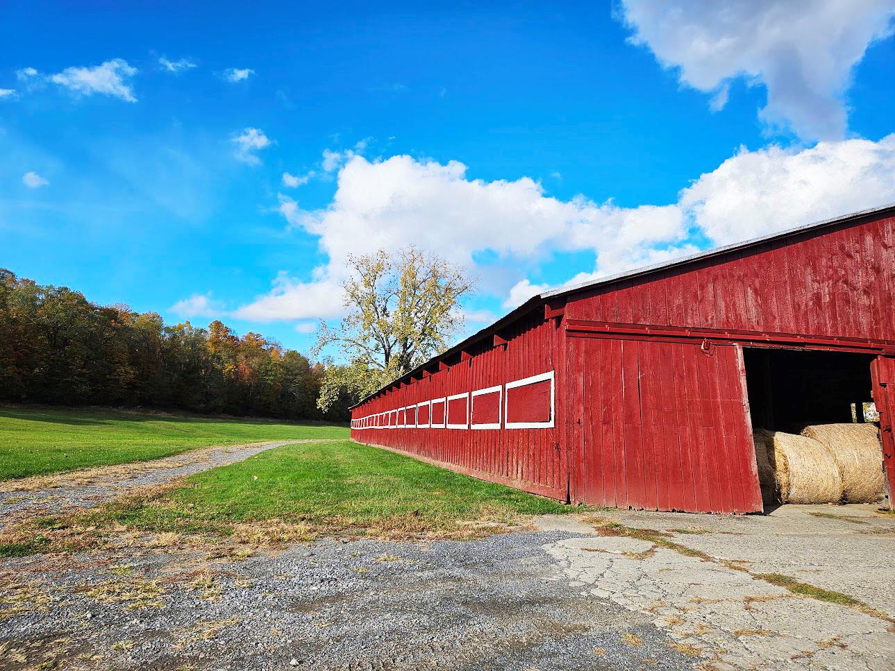 Barn