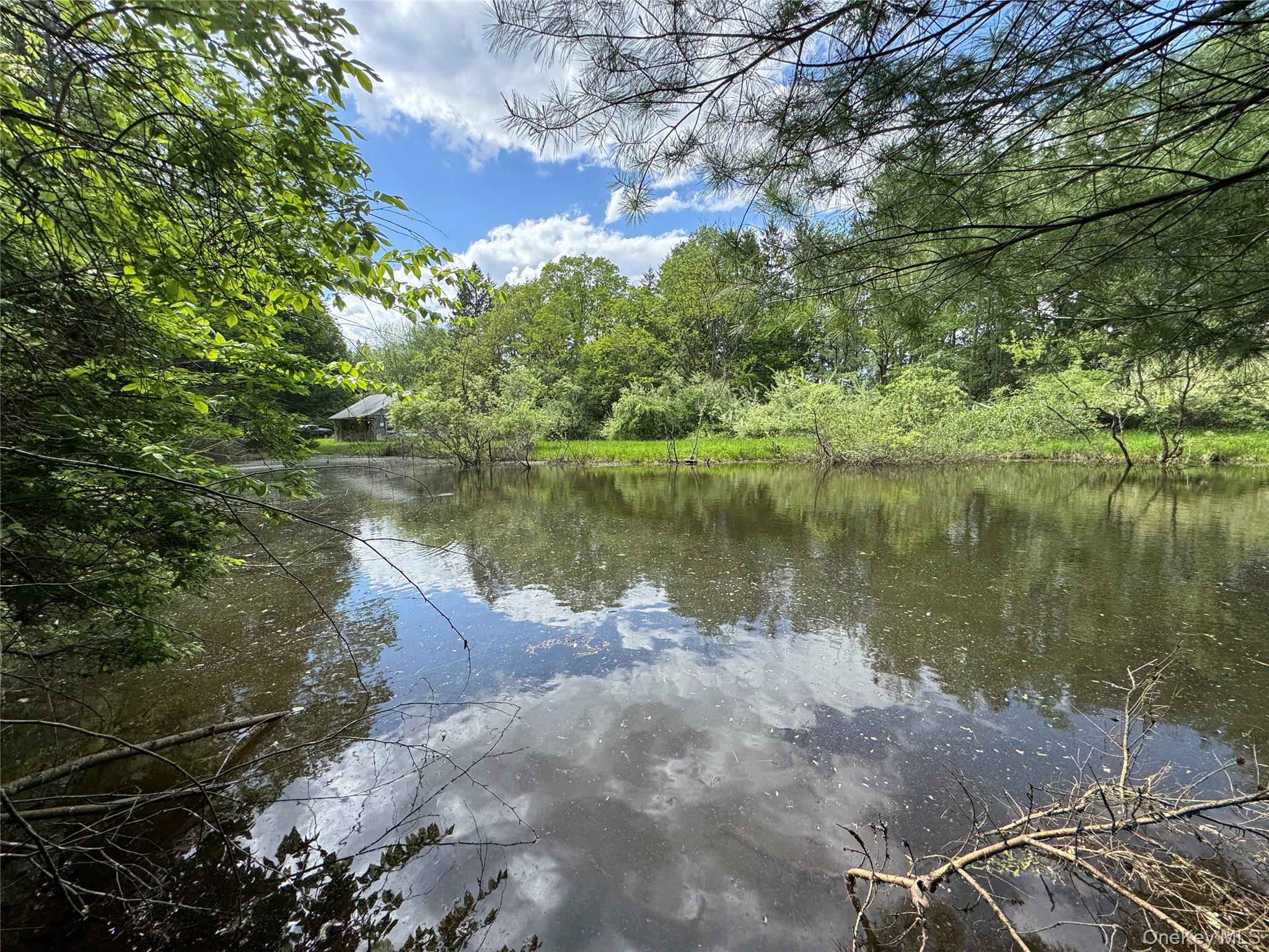 Pond