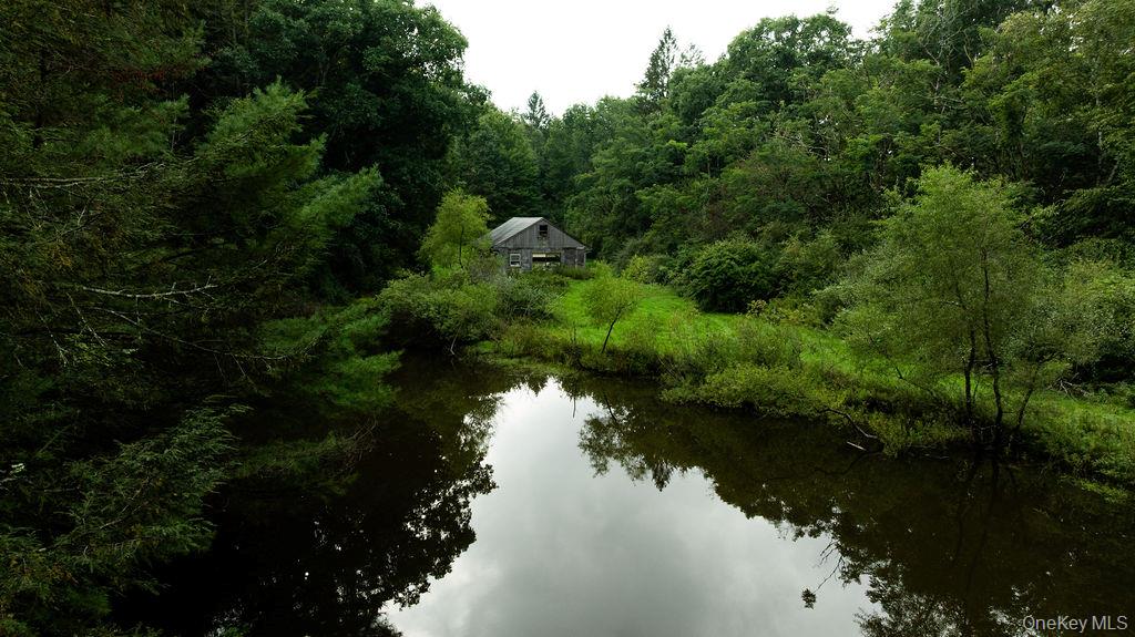 Pond