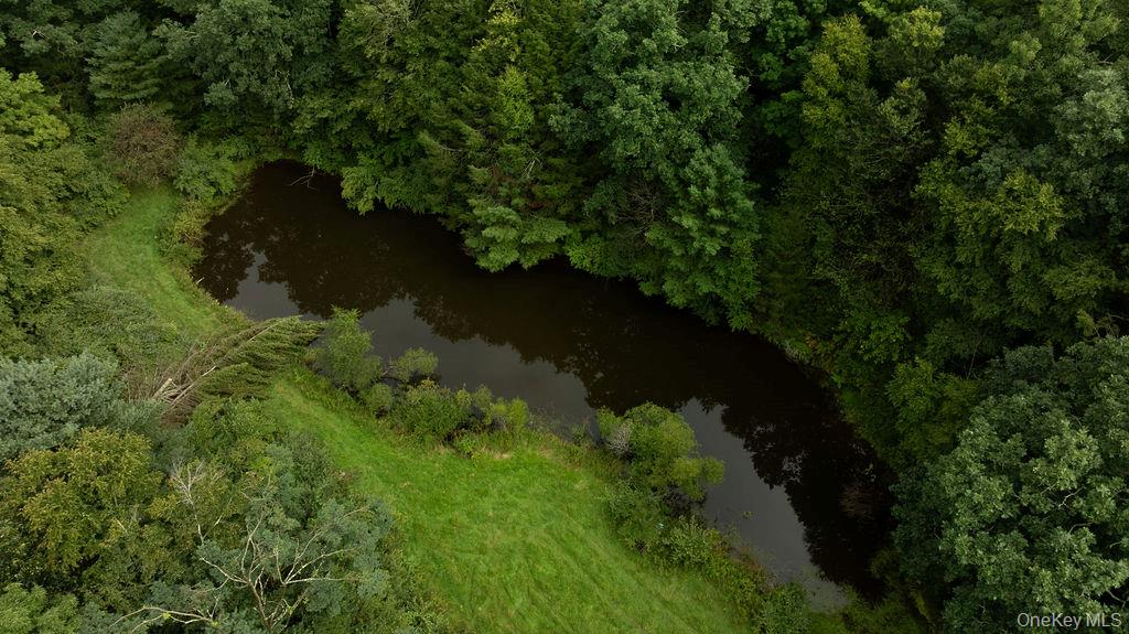 Pond