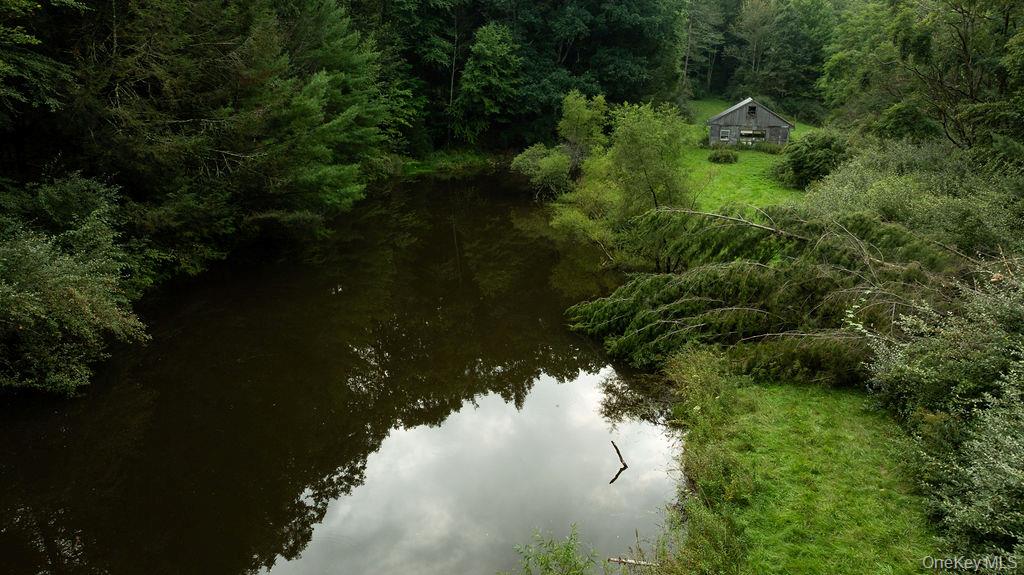 Pond