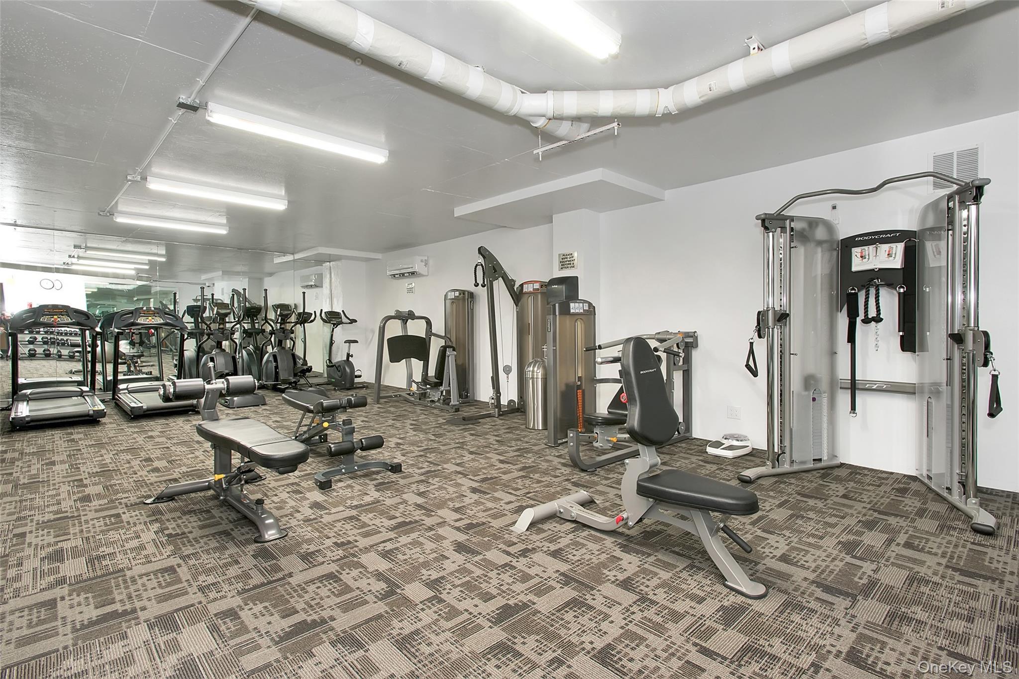 Gym