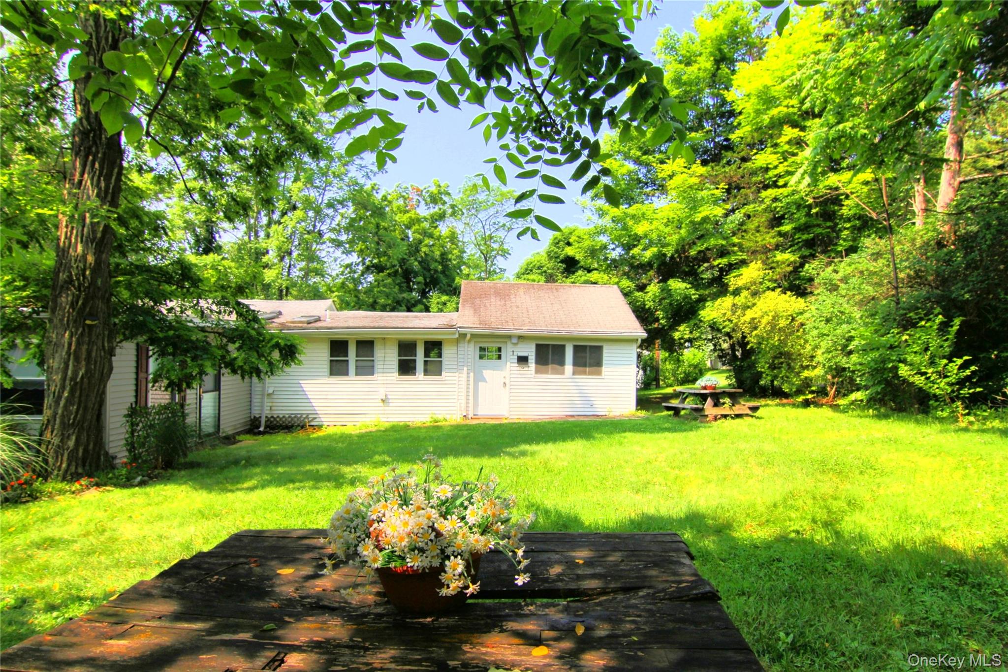 Yard