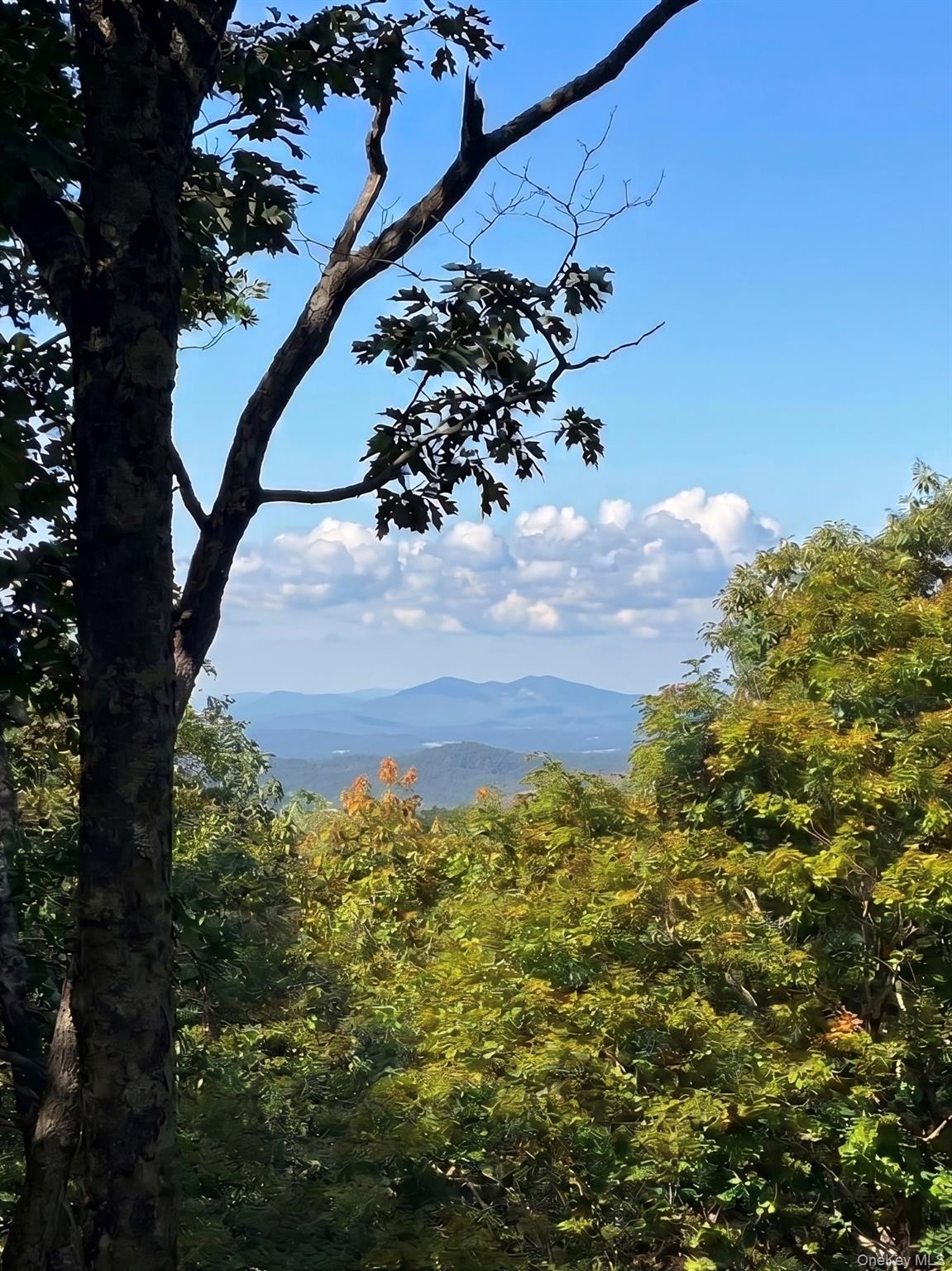 400 Mercer Mountain Road