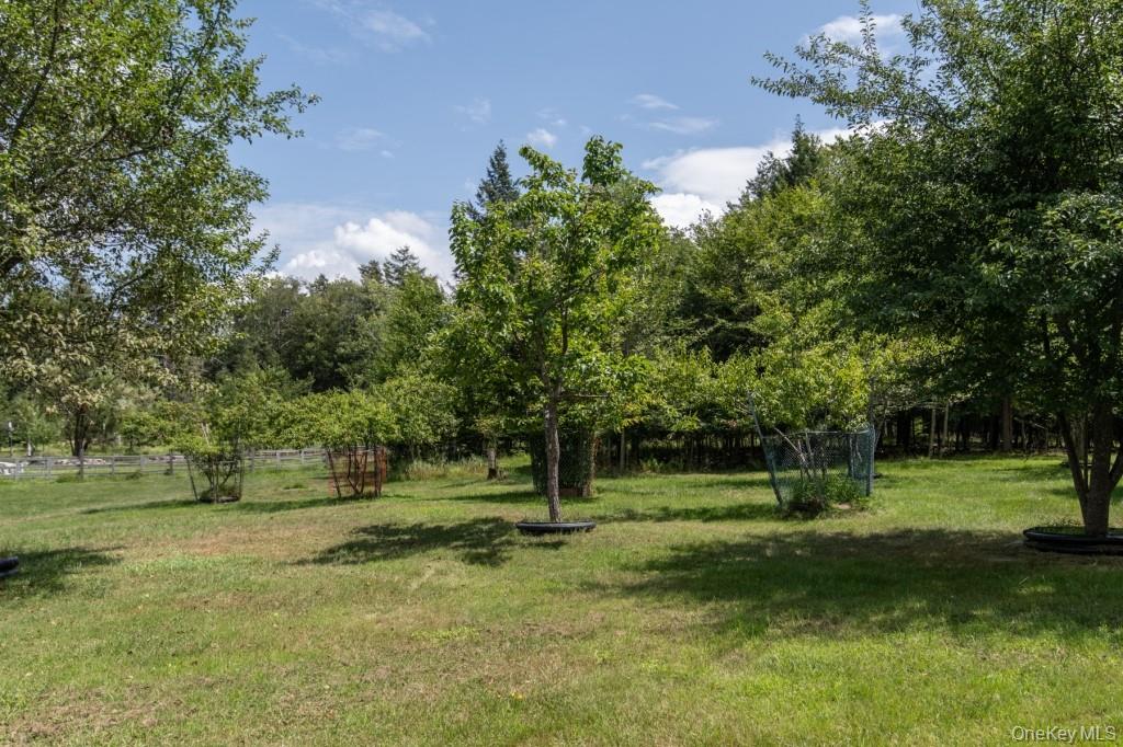 Yard