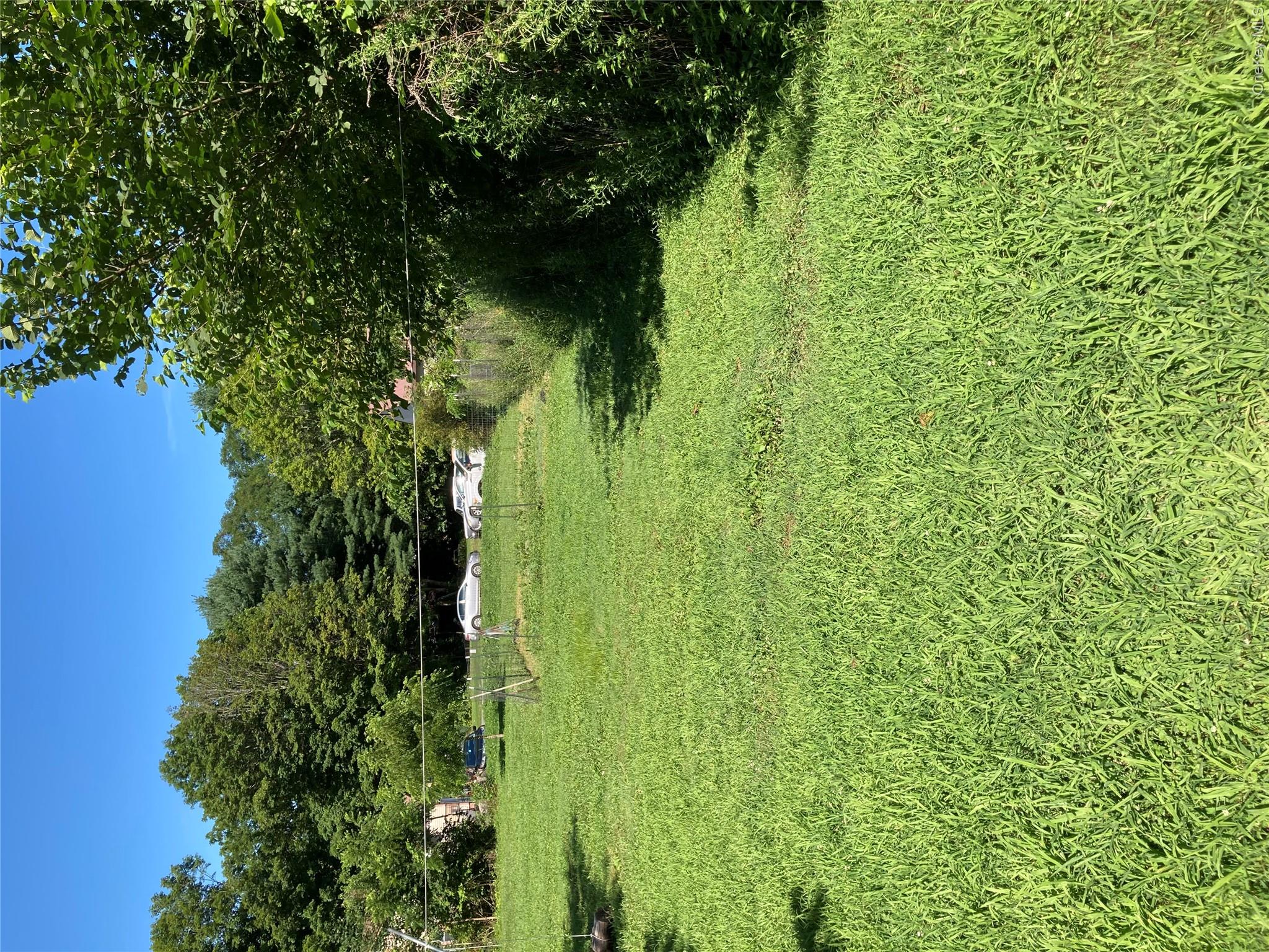 Yard