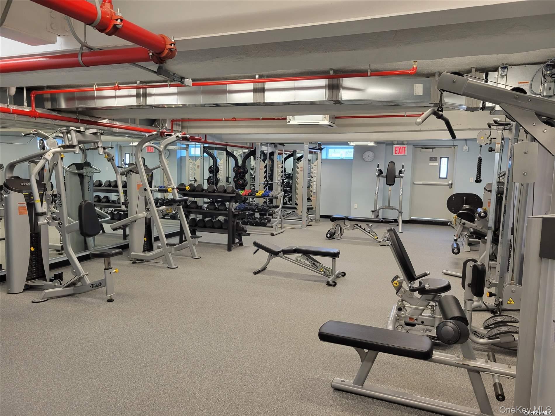 Gym