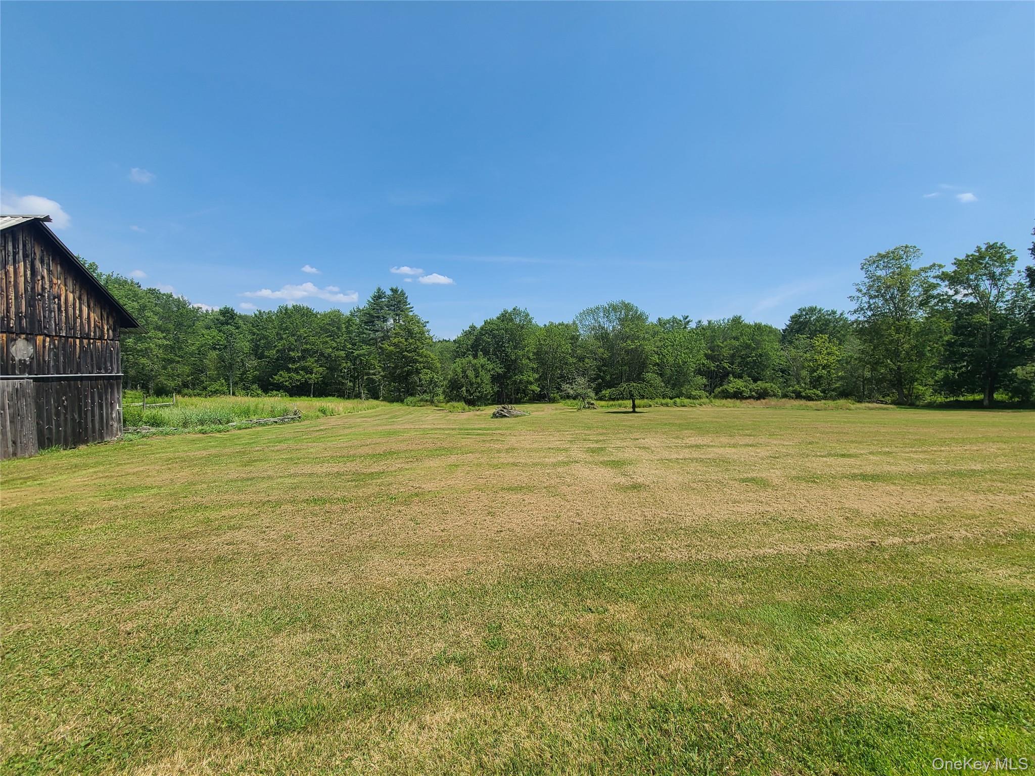 Yard