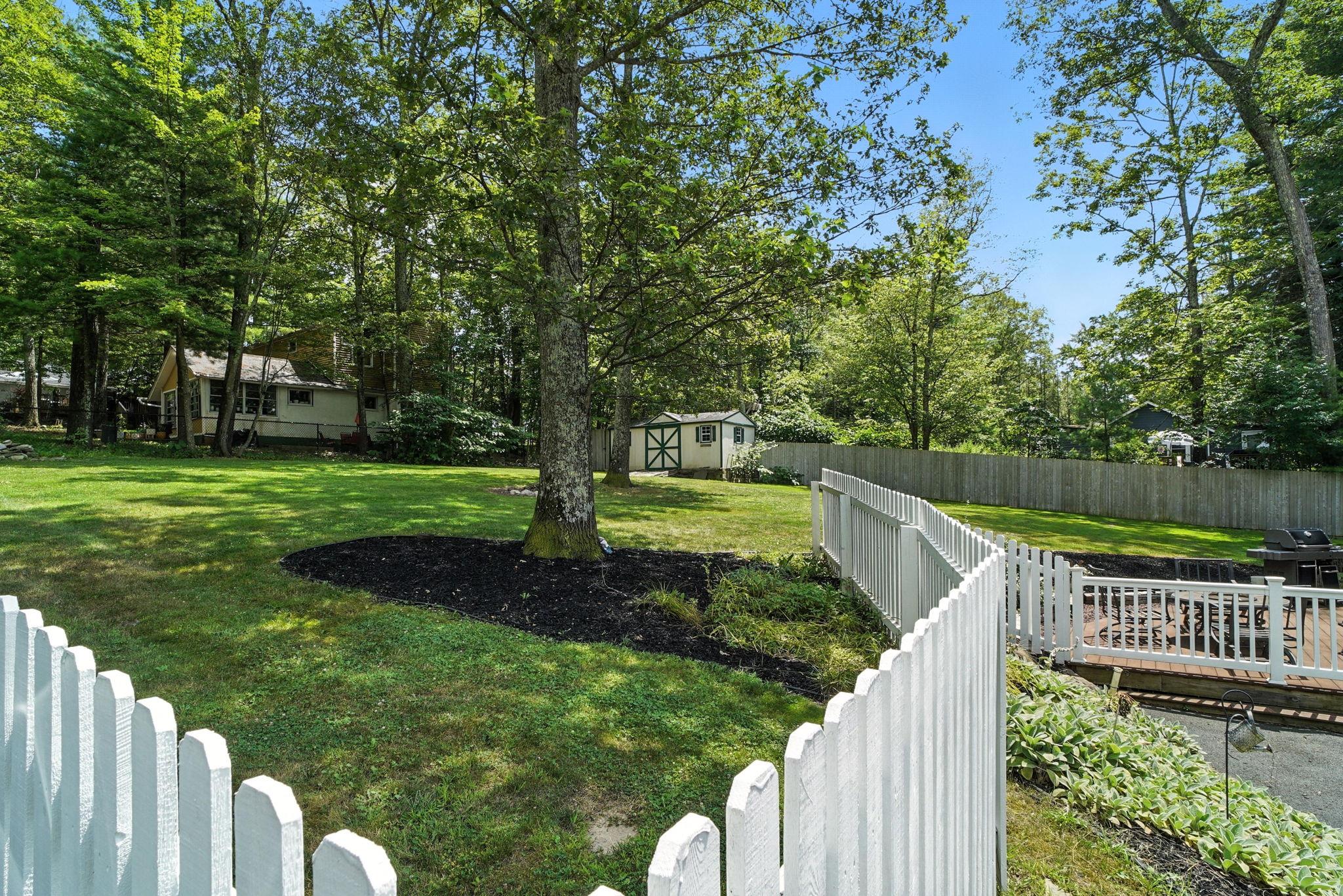 Yard