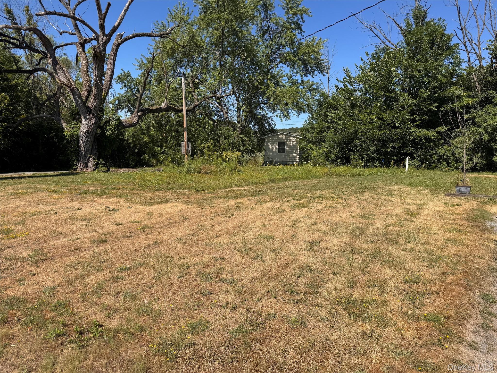 Yard
