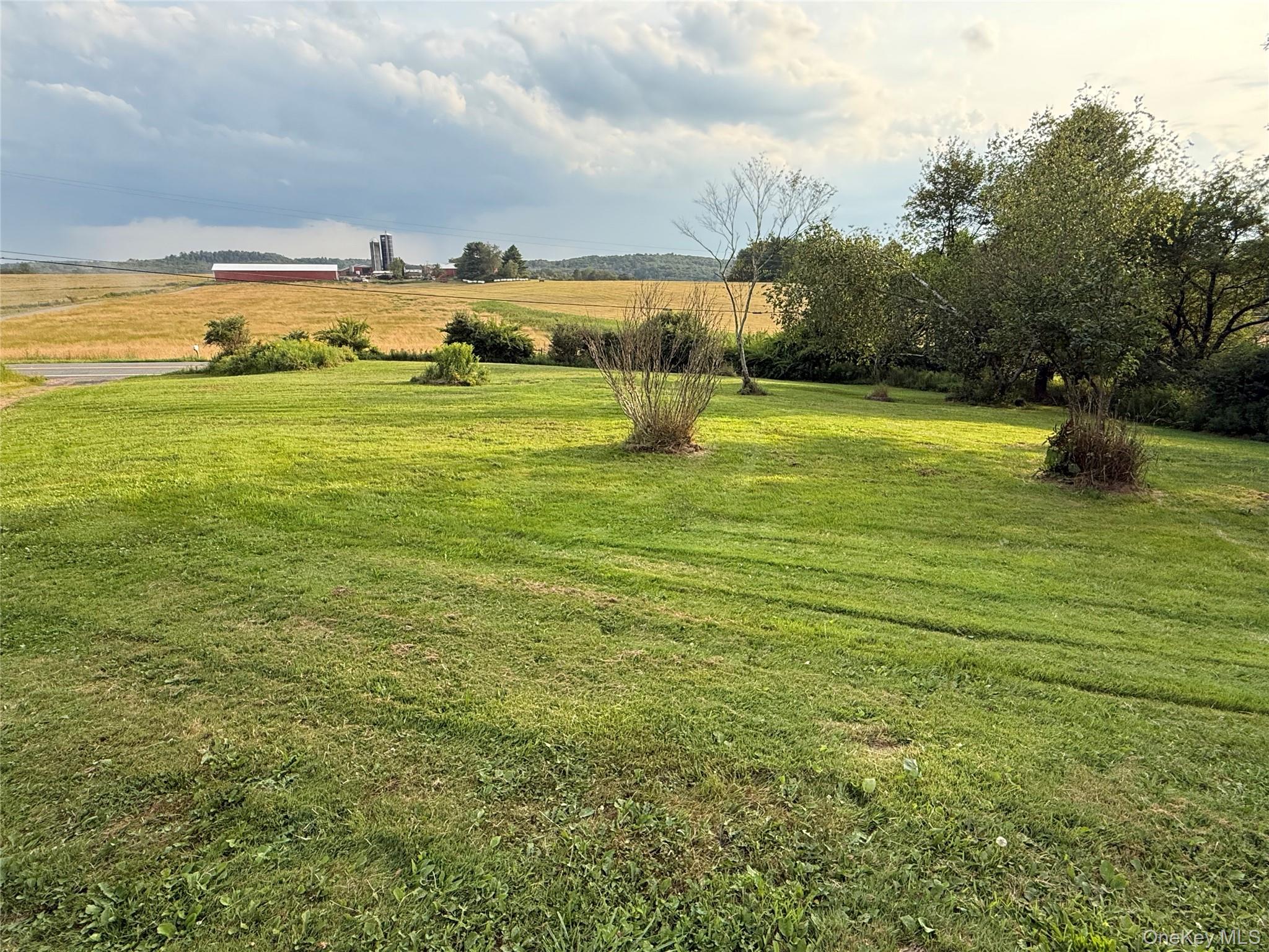 Yard