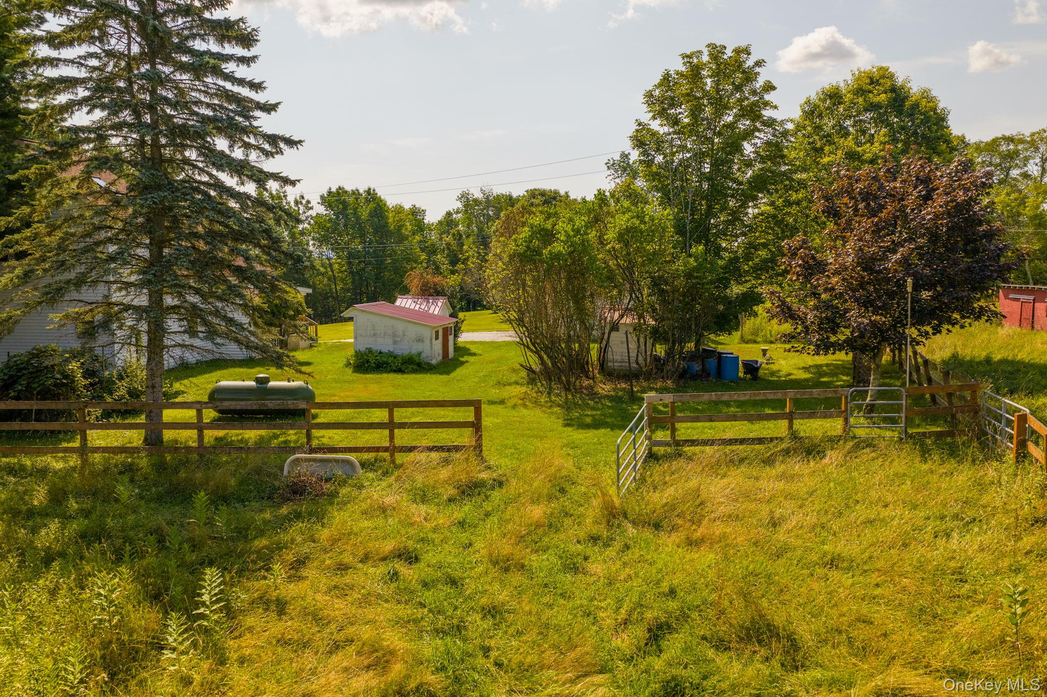 Yard