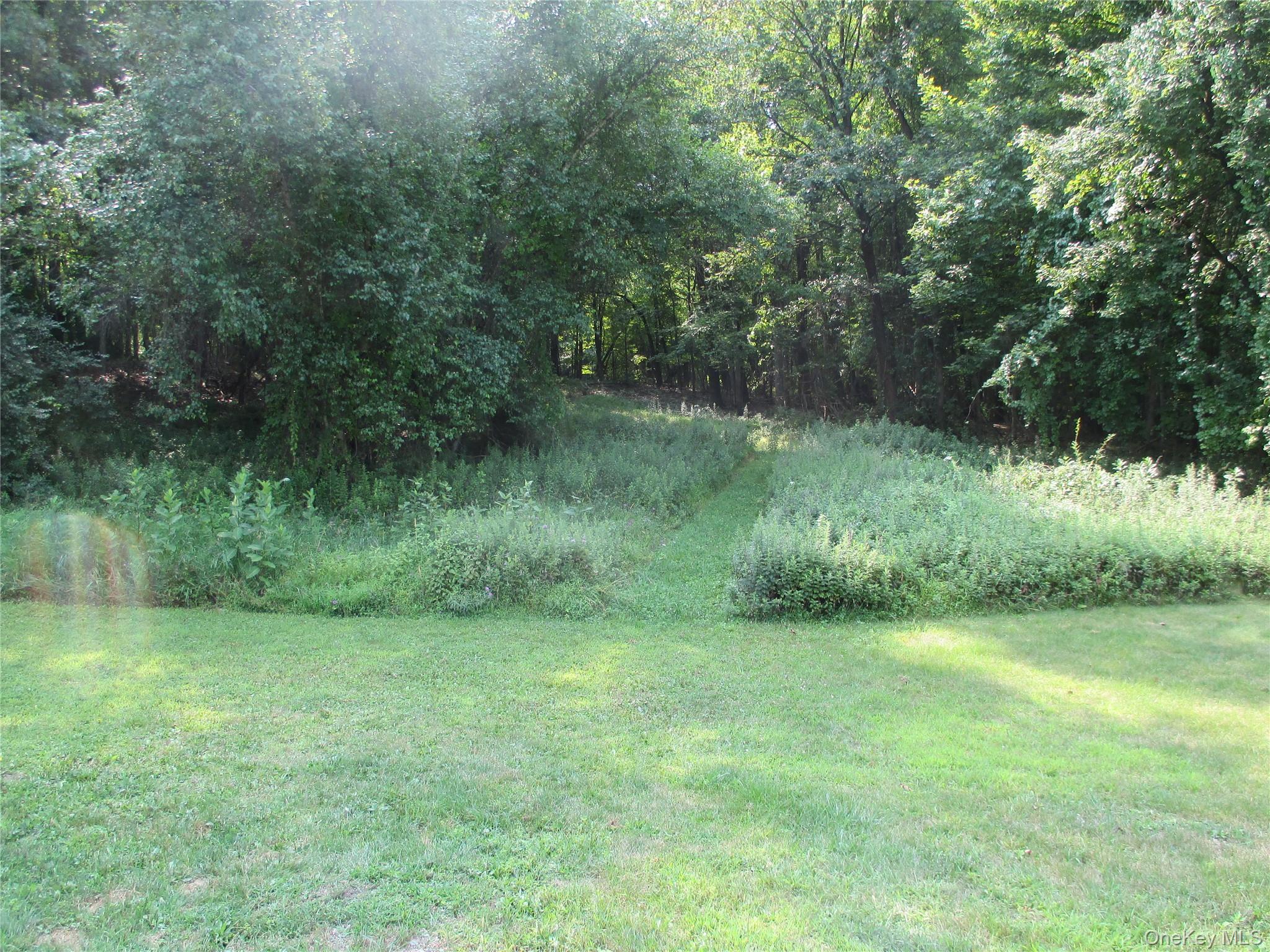 Yard