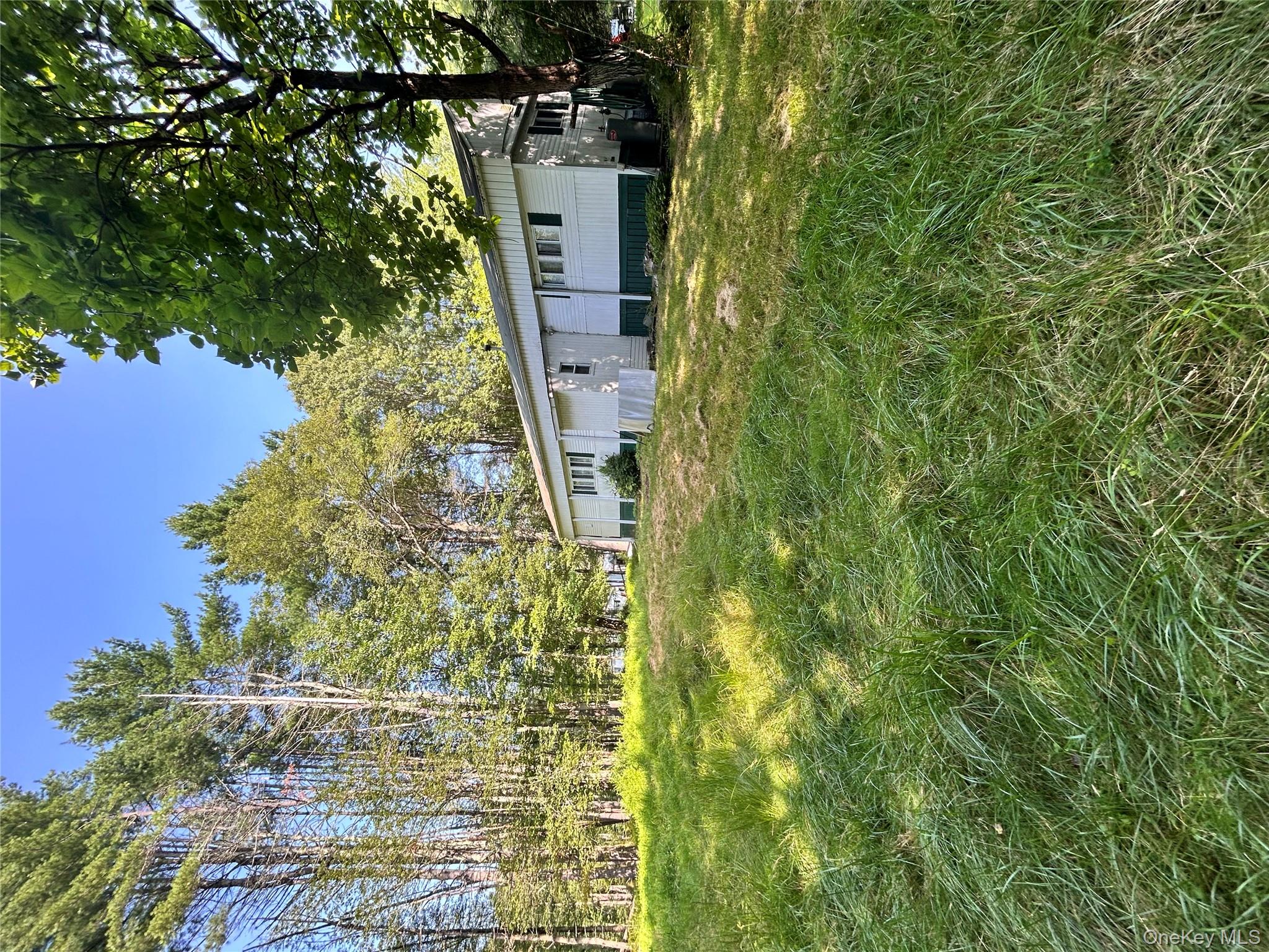 Yard