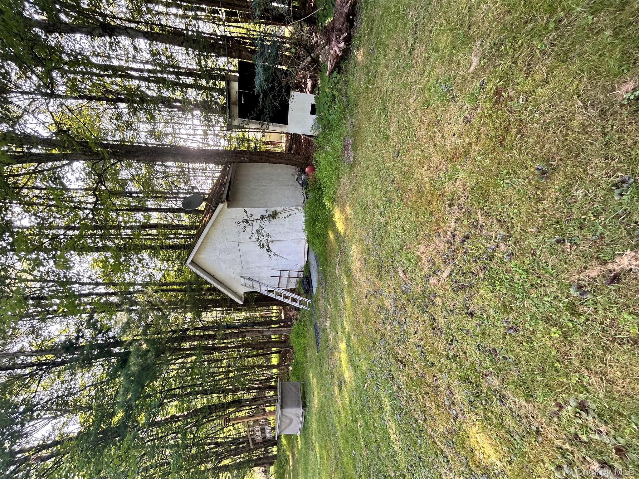 Yard