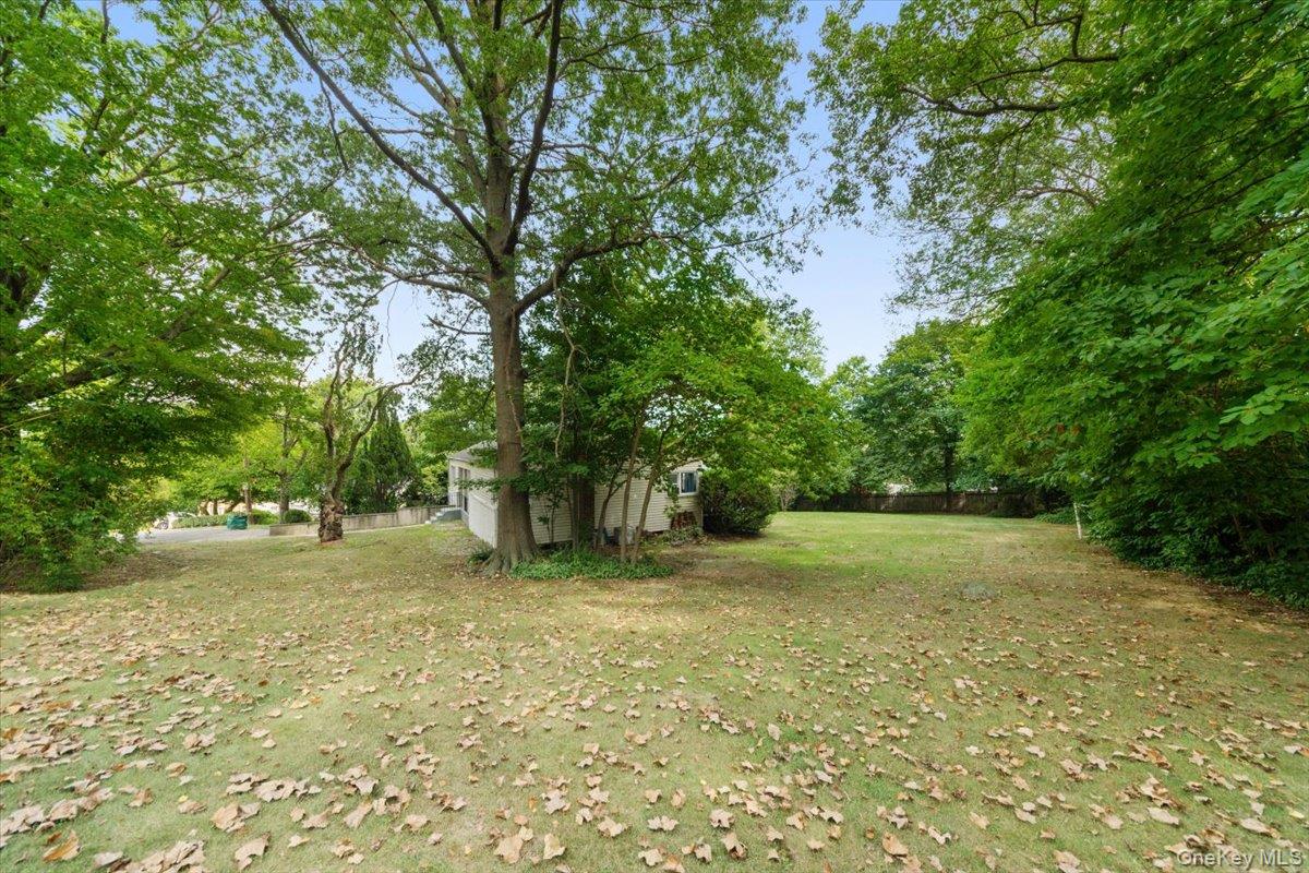 Yard
