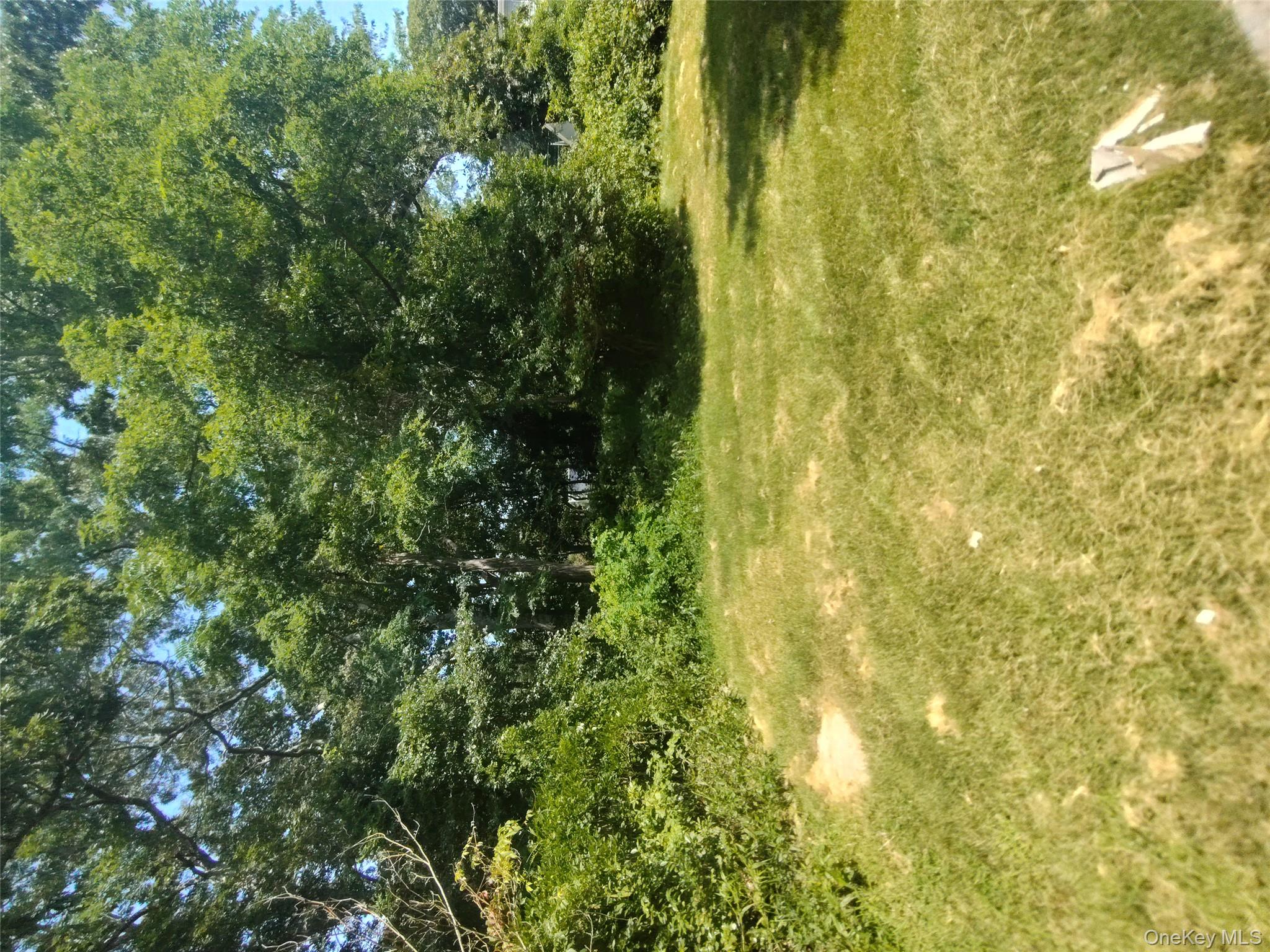 Yard
