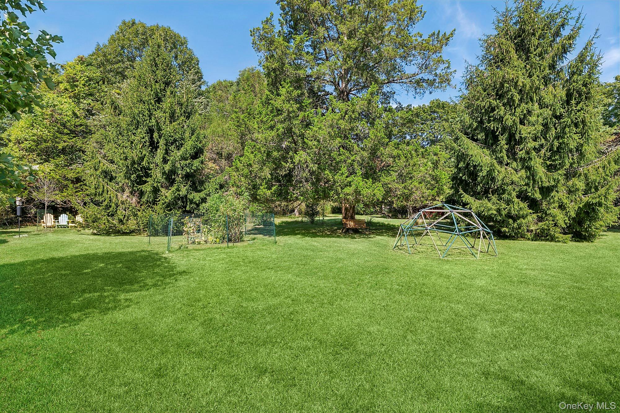 Yard