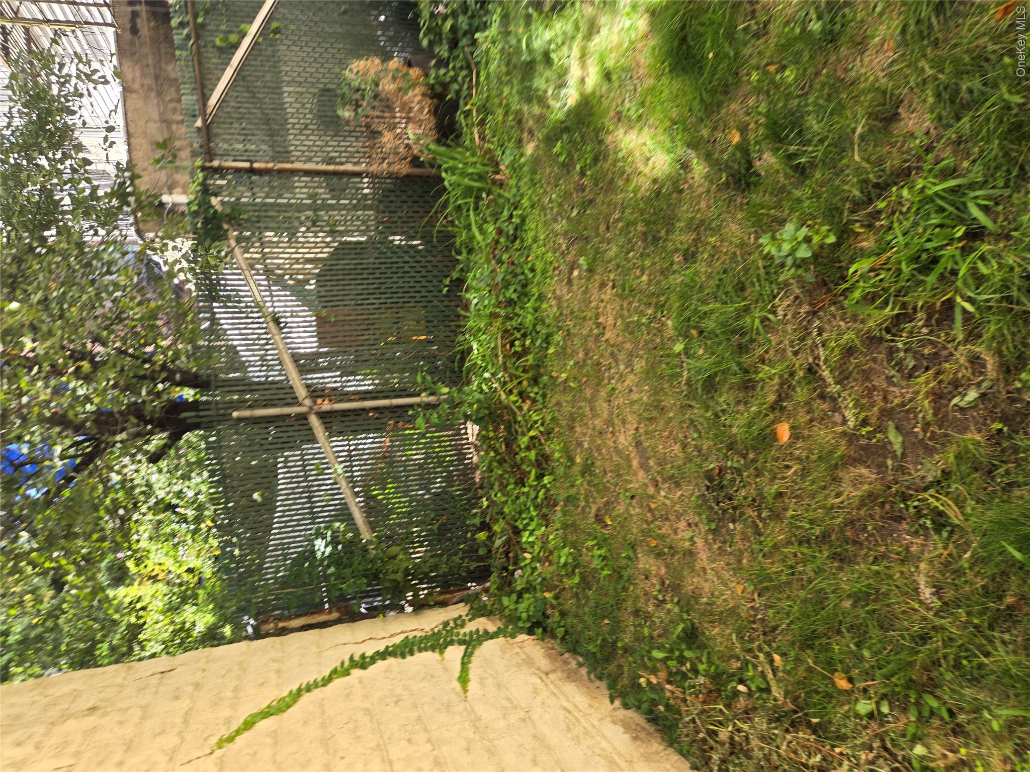 Yard