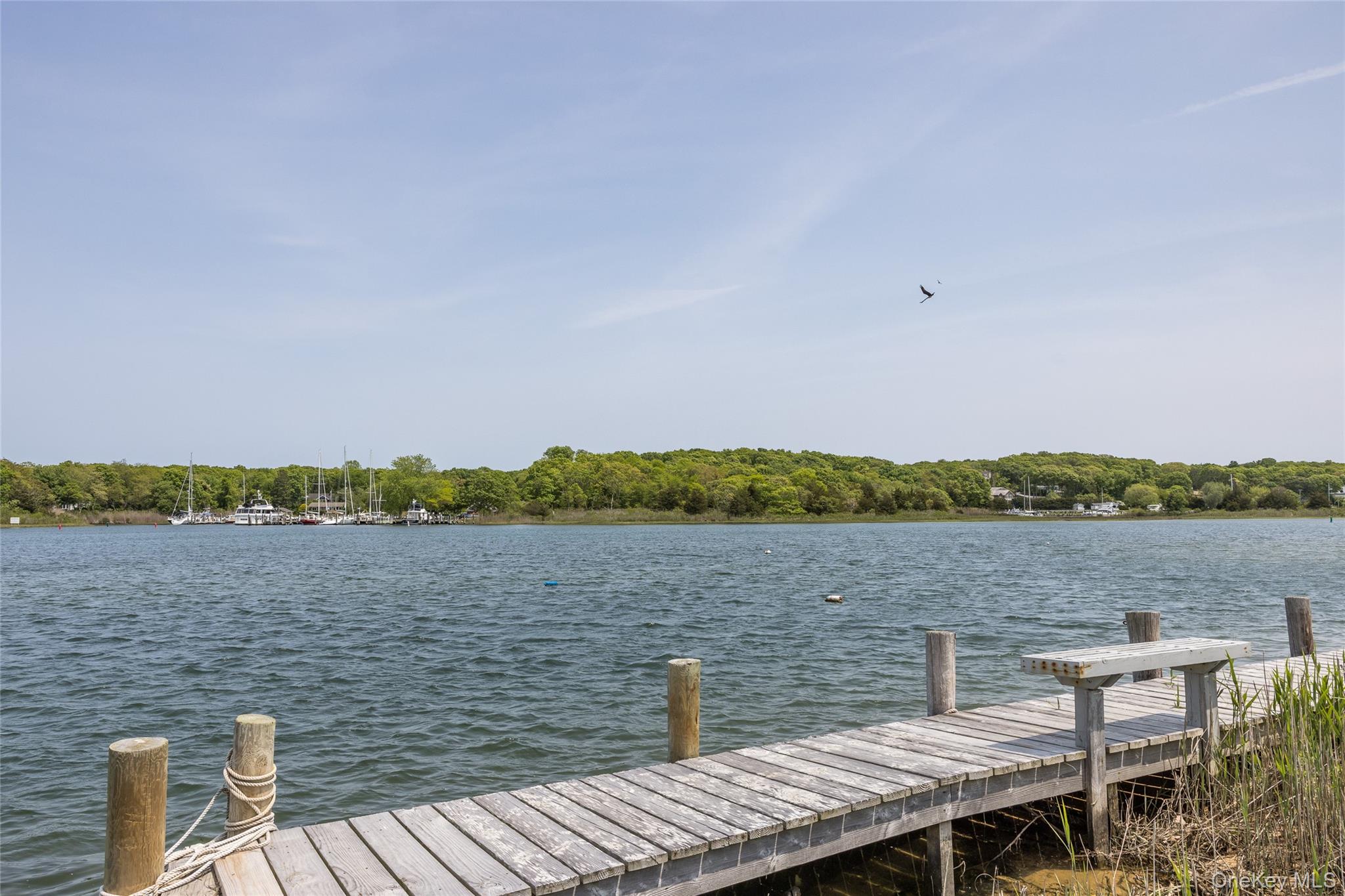 Dock