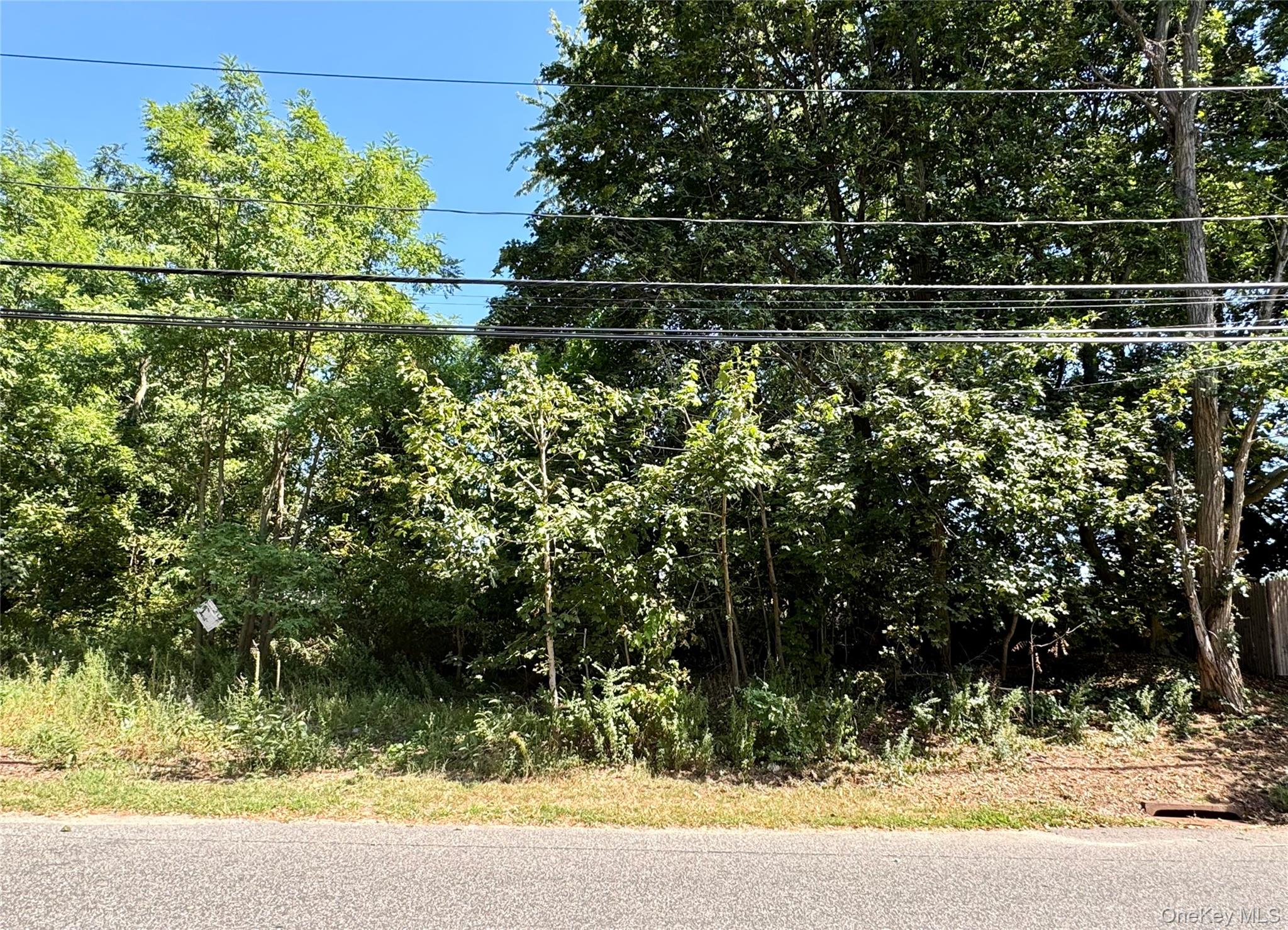 #189,#191 Mount Vernon Avenue