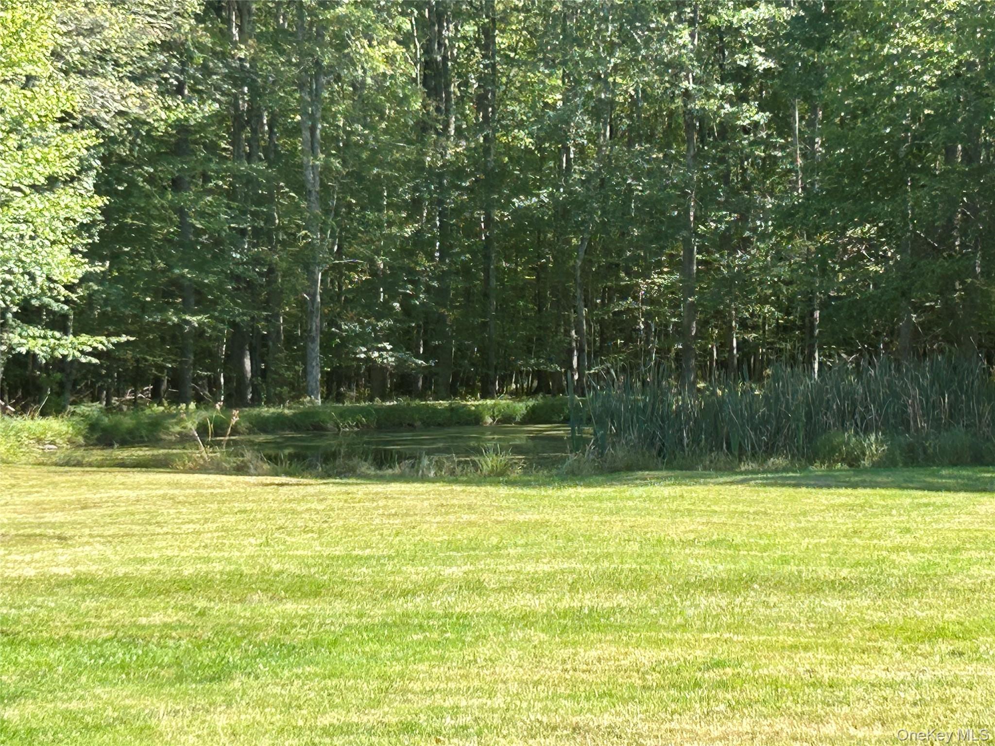 Pond