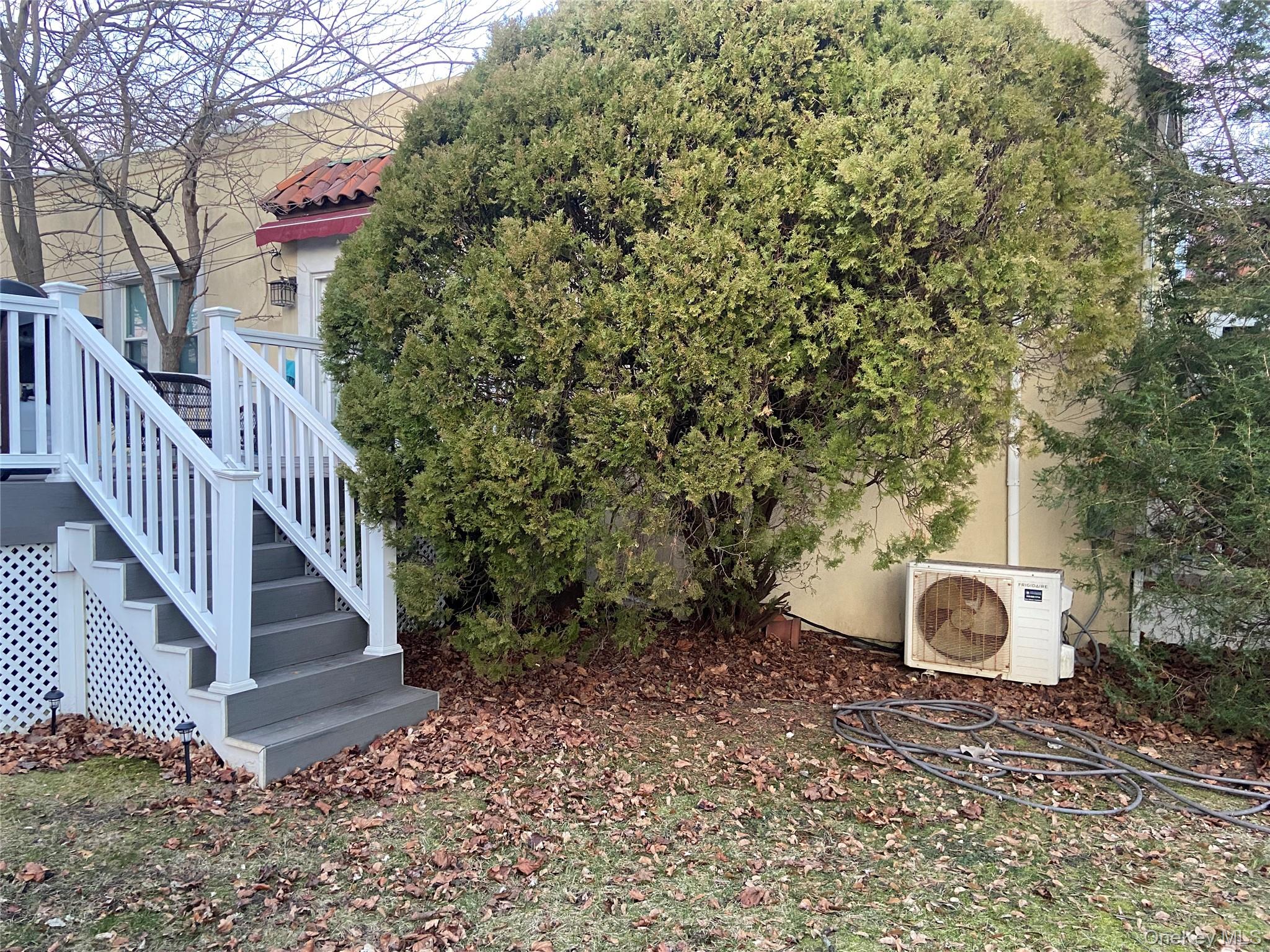 Yard