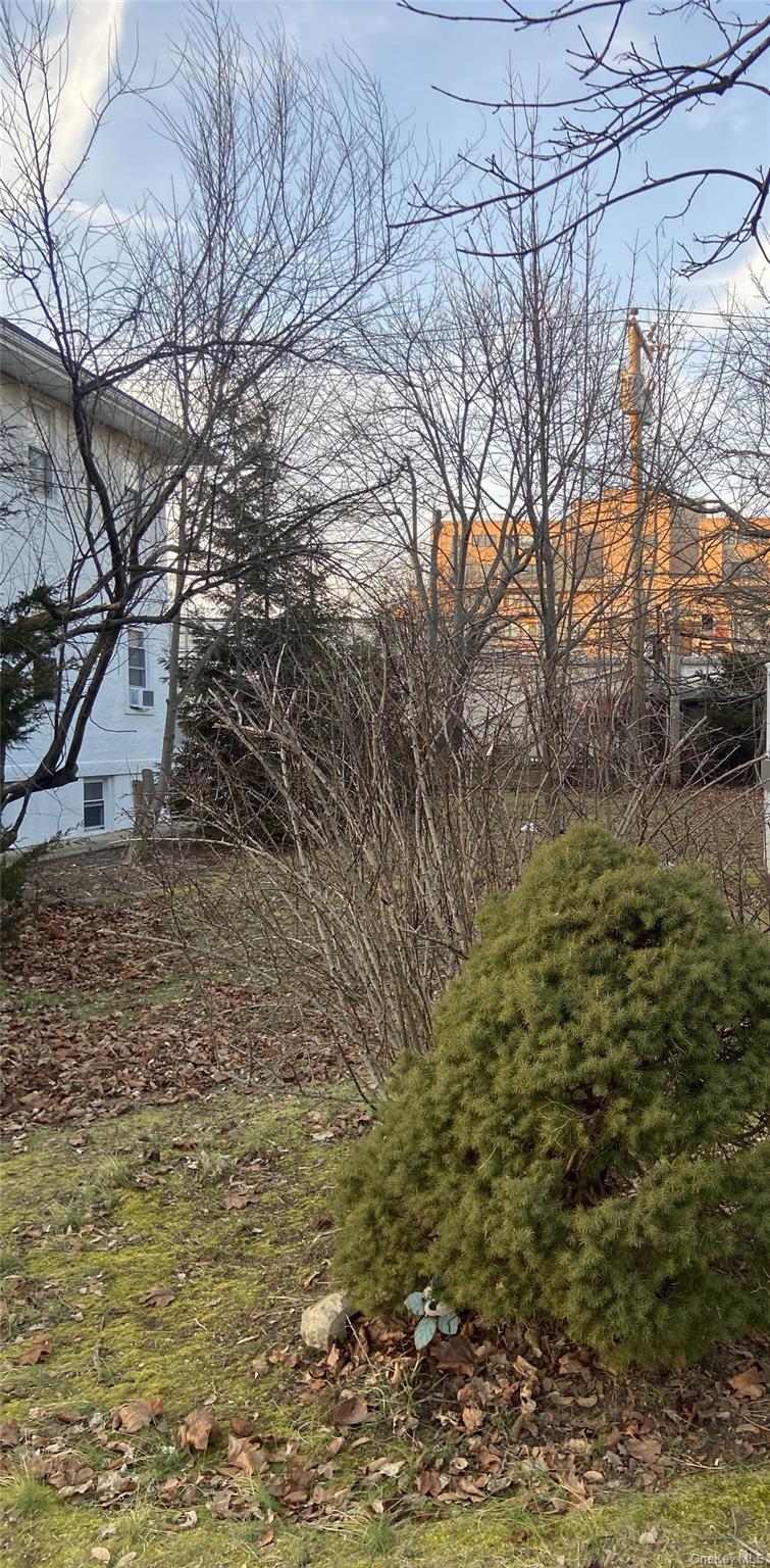 Yard