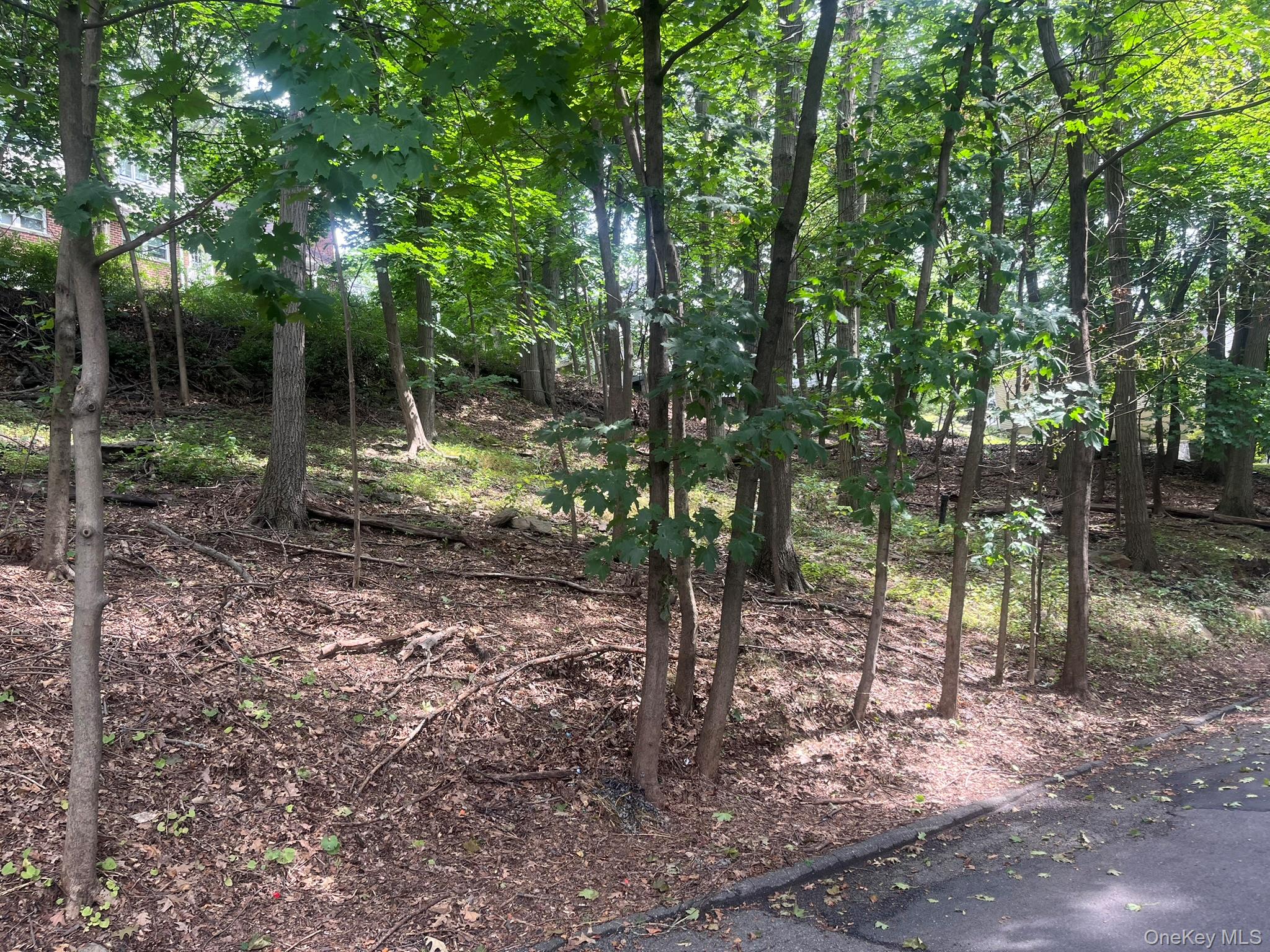 0 Springwood Avenue