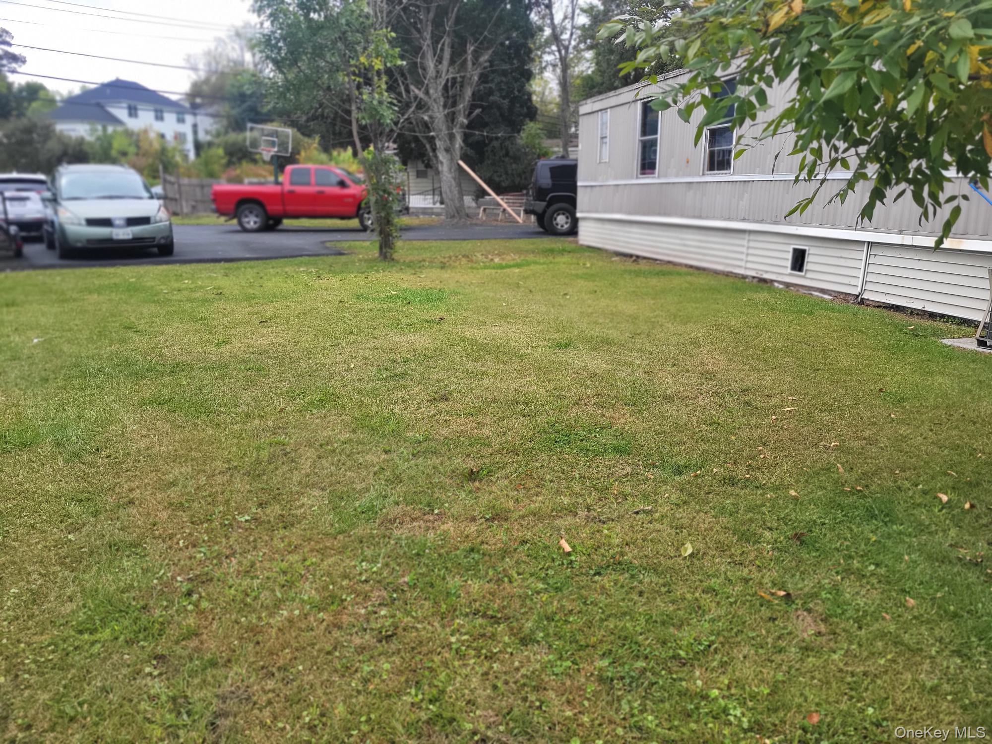 Yard