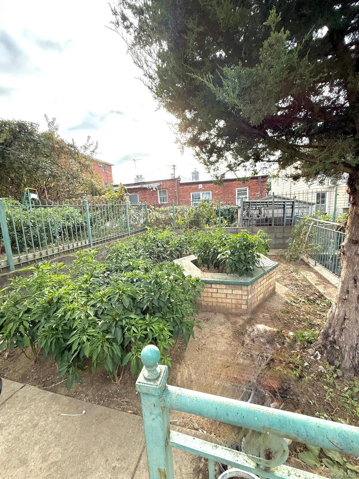Yard