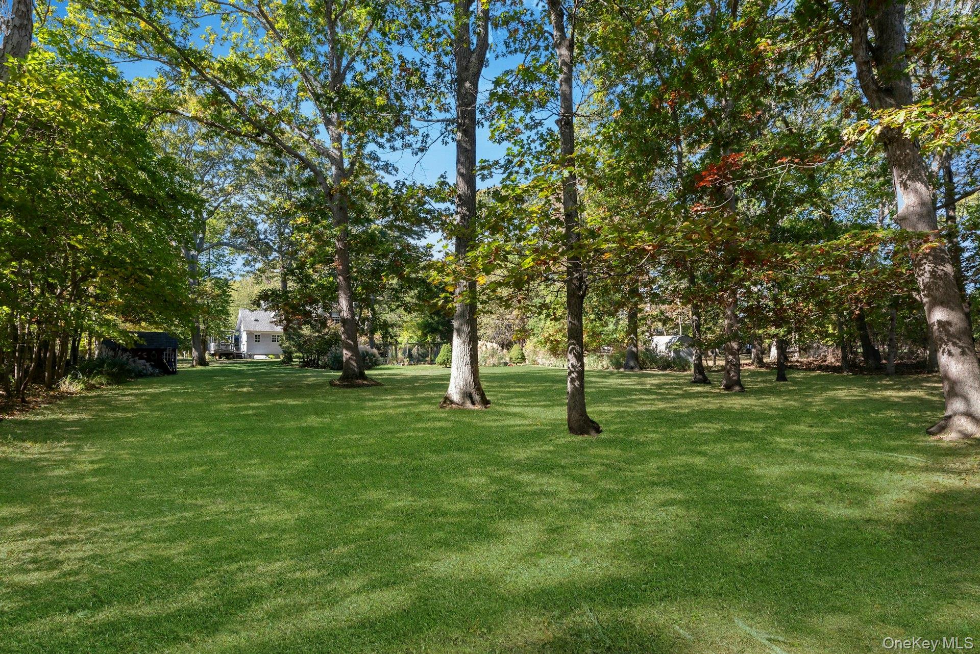 Yard