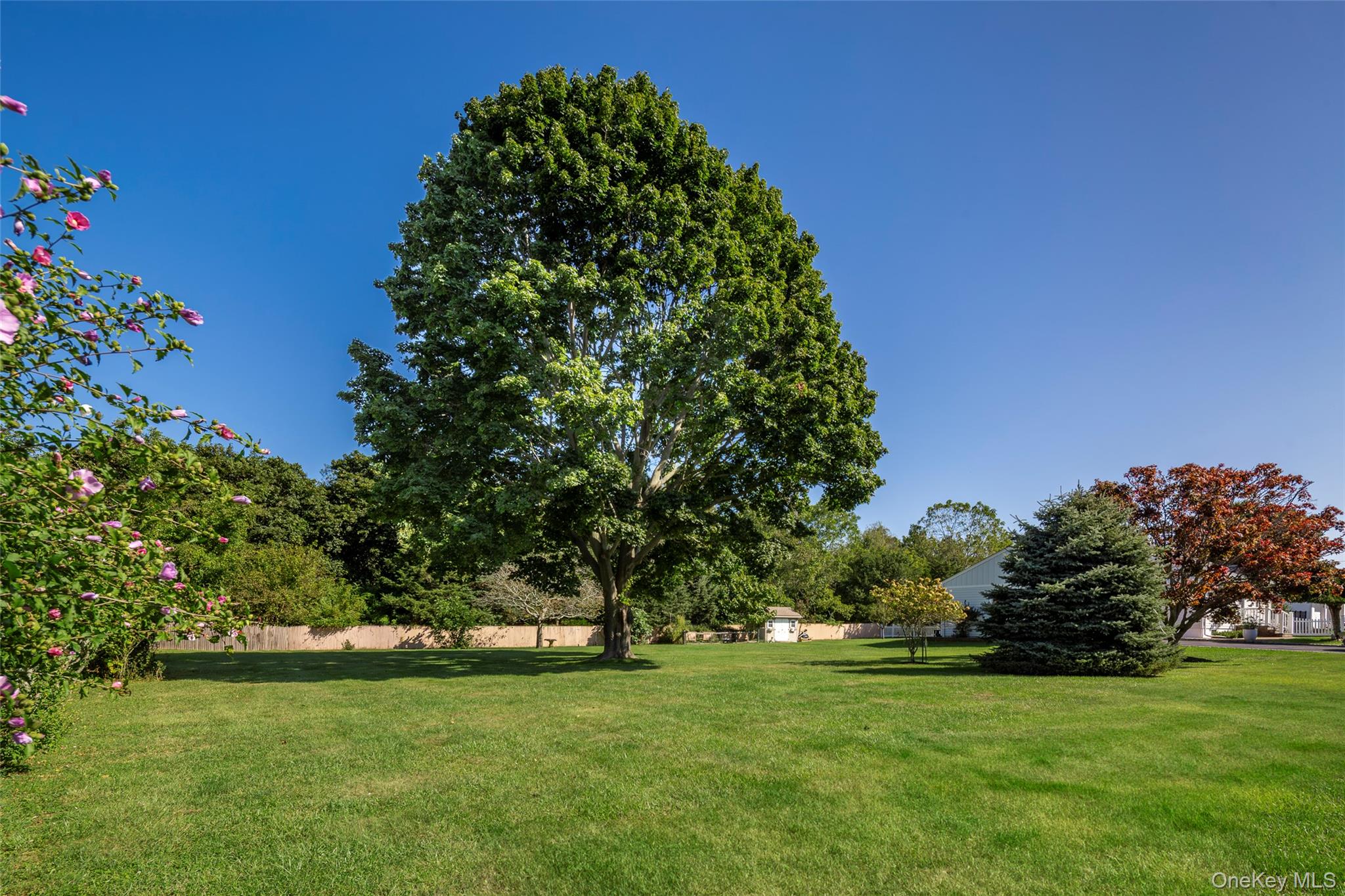Yard