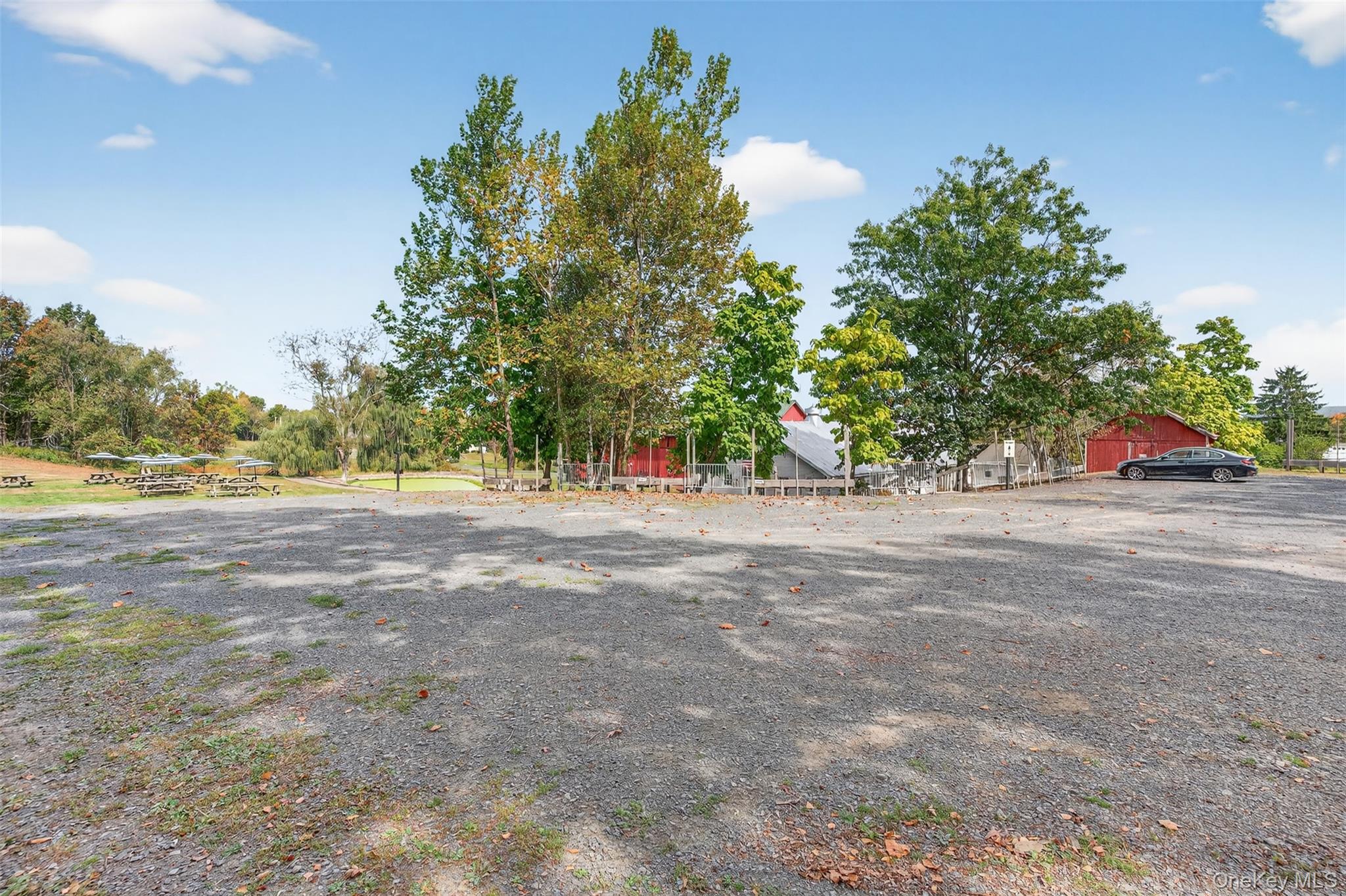 Yard
