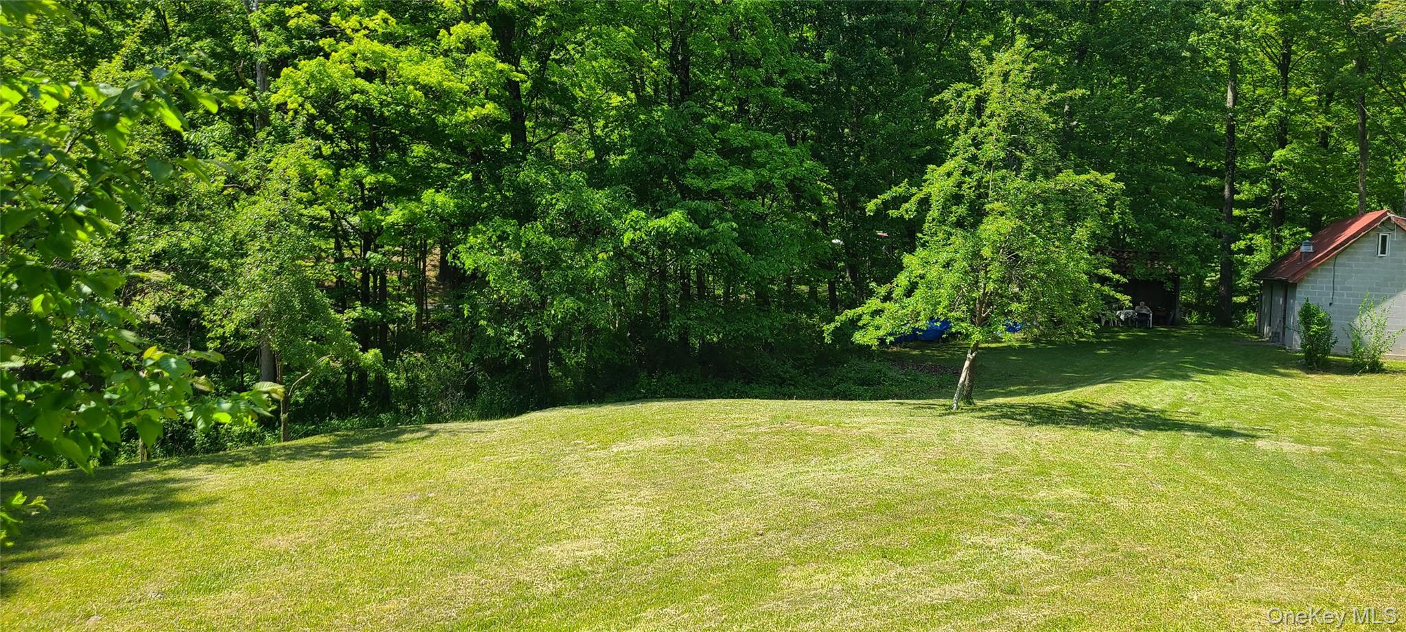 Yard