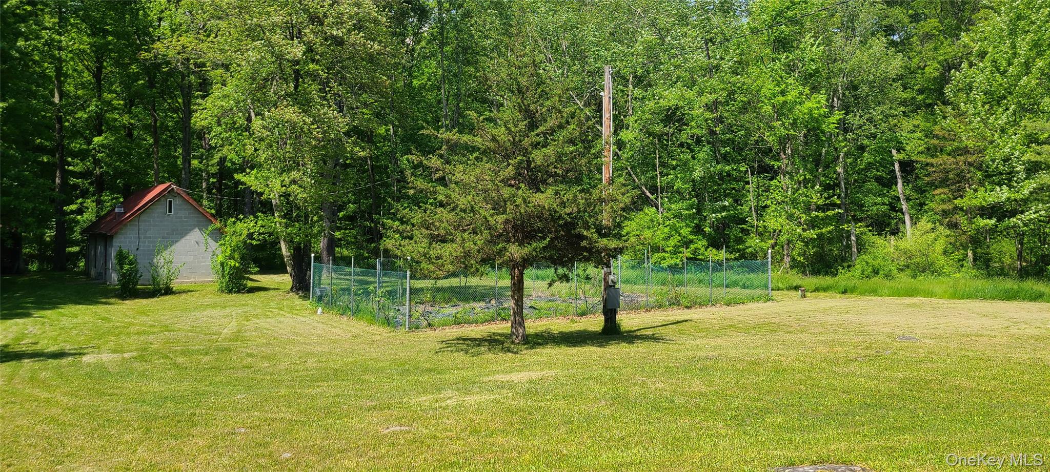 Yard