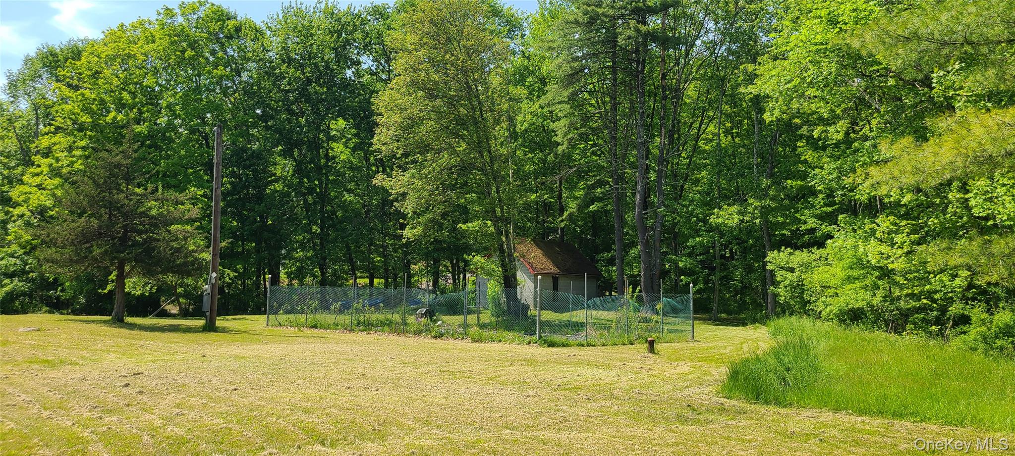 Yard