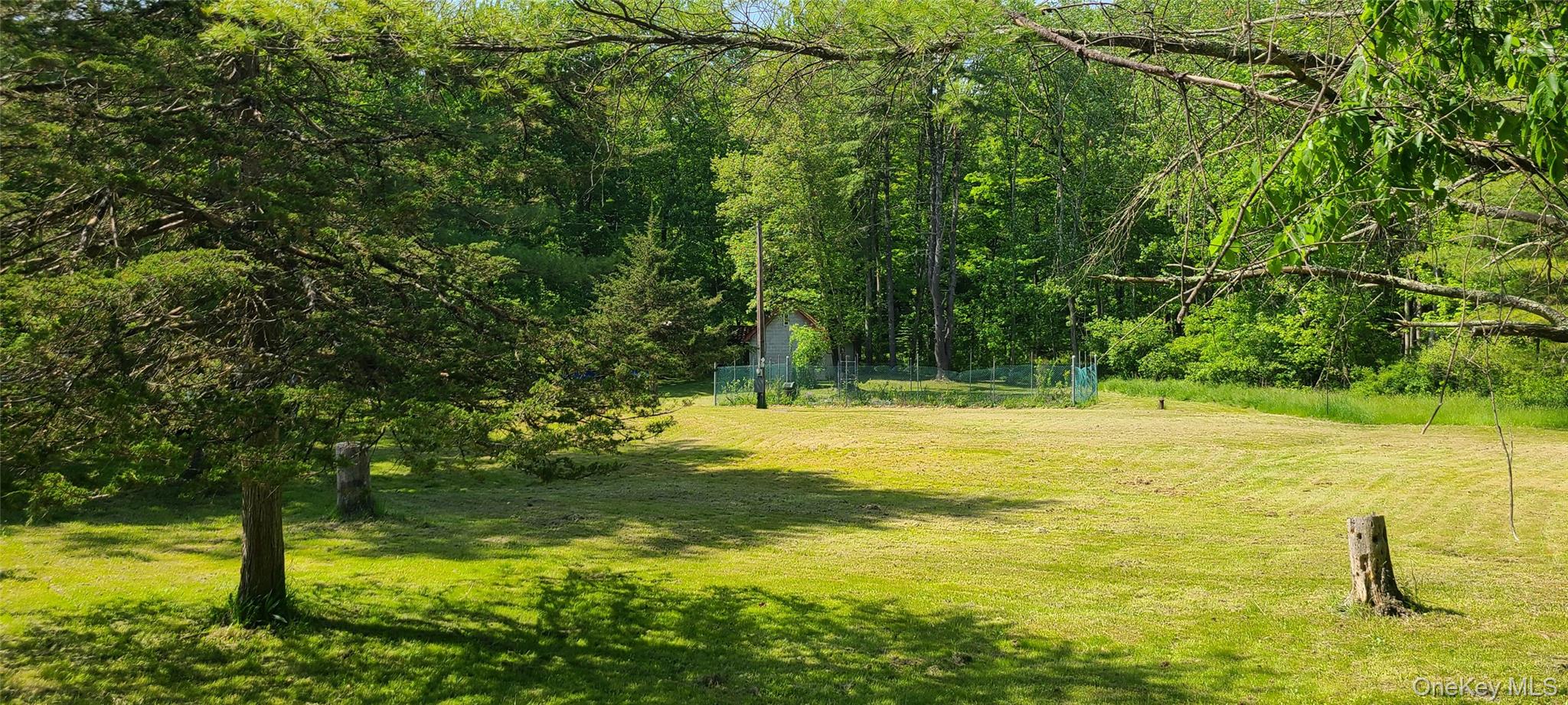 Yard