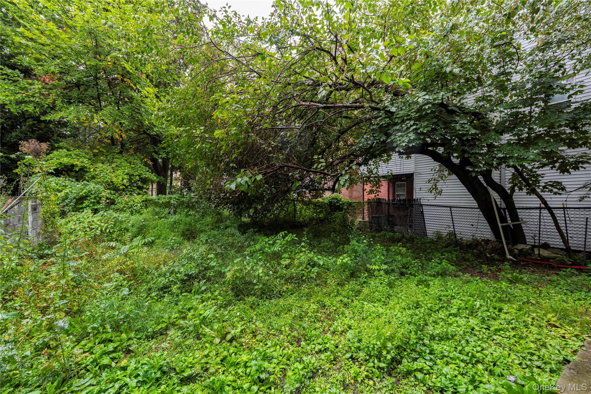 Yard