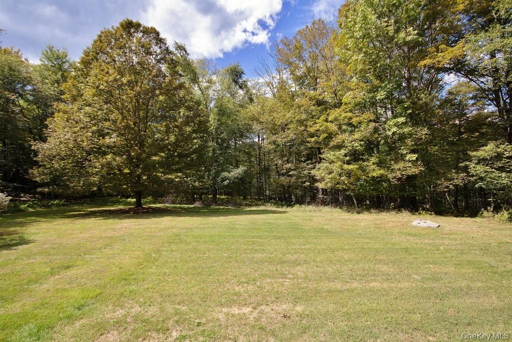 Yard