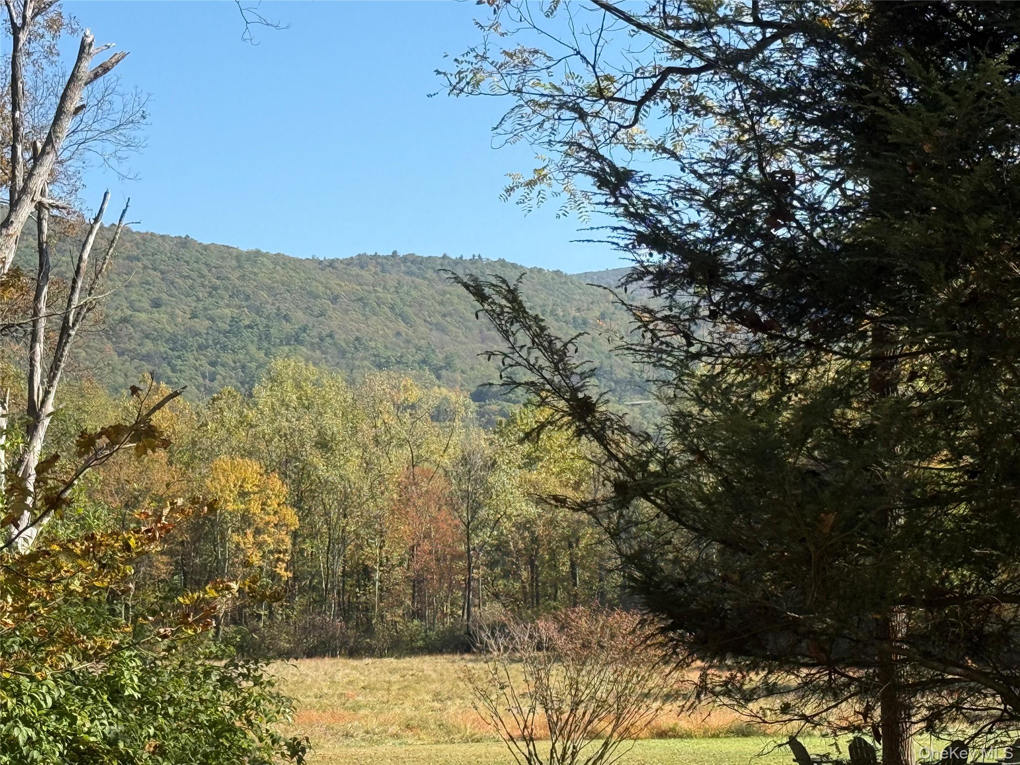 View
