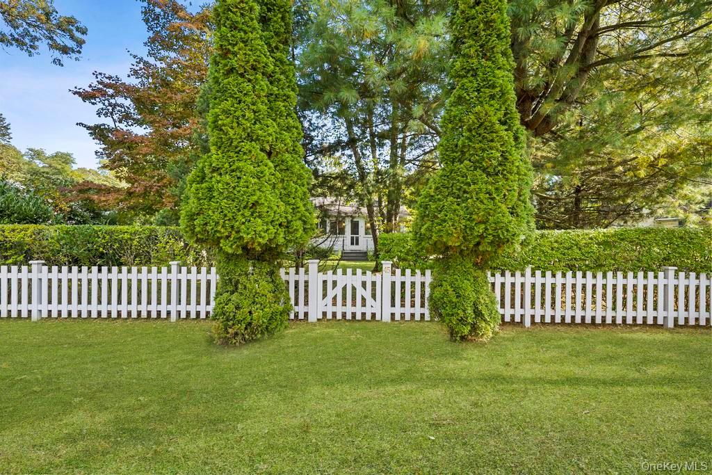 Yard
