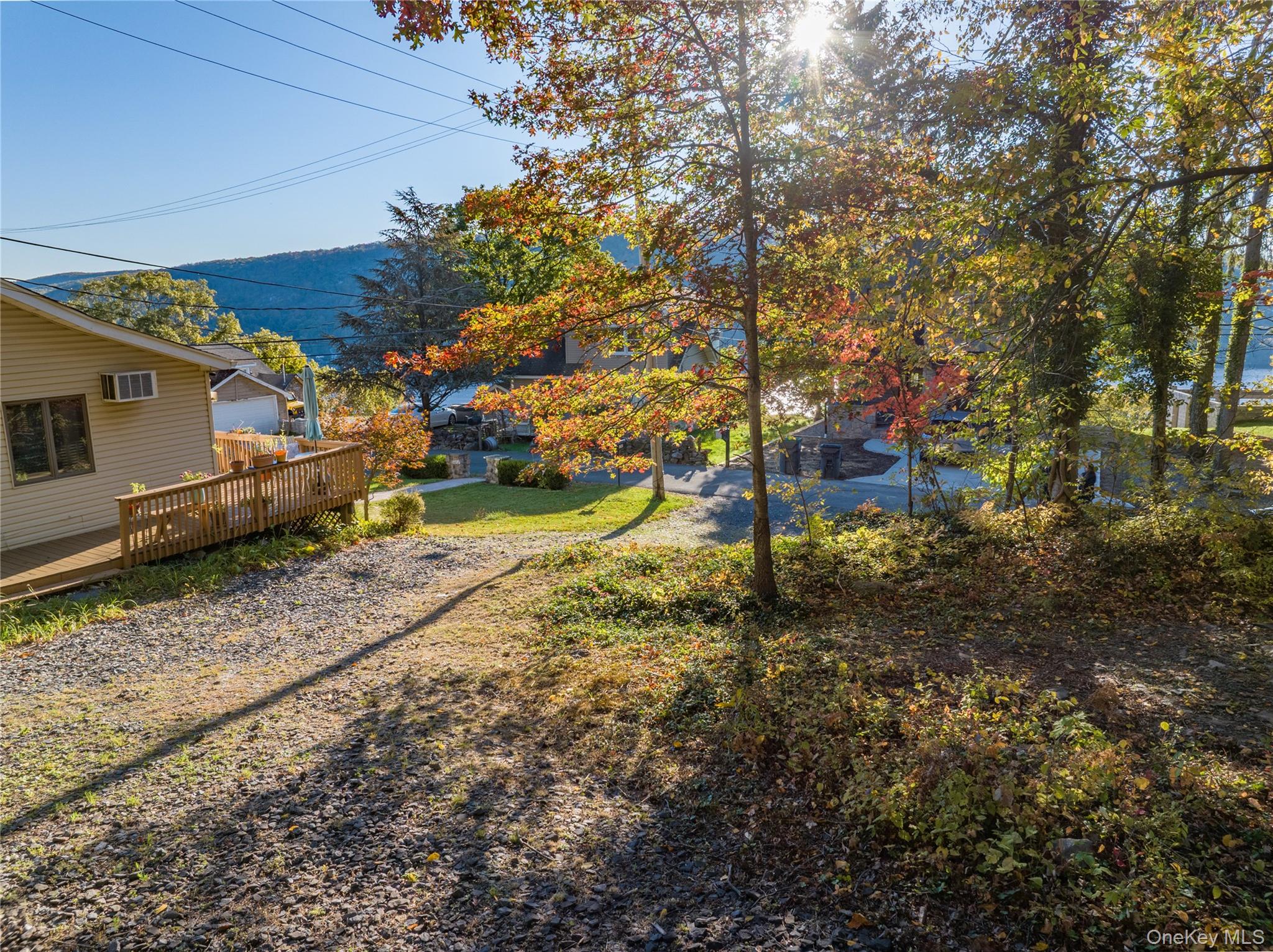 Yard