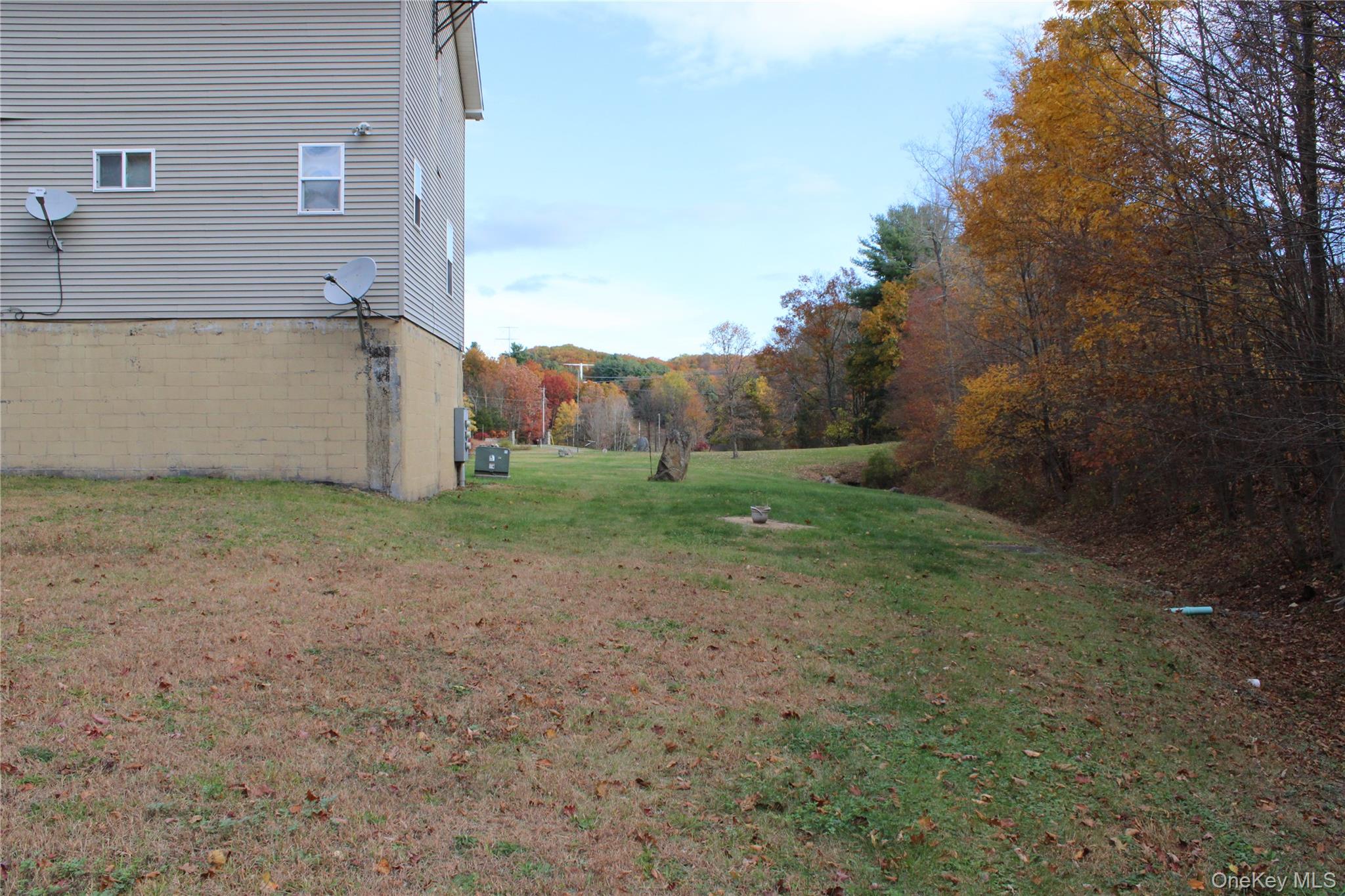 Yard
