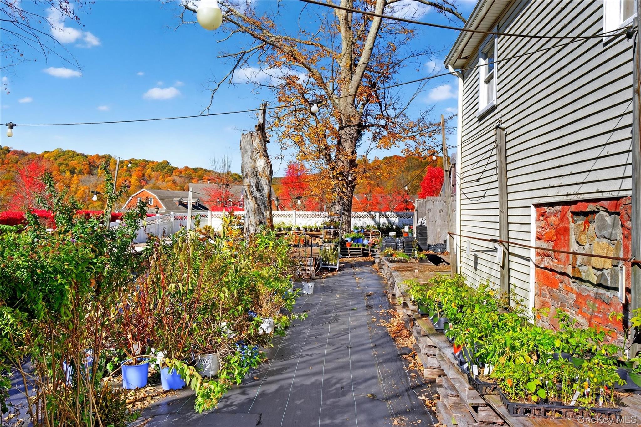 Yard