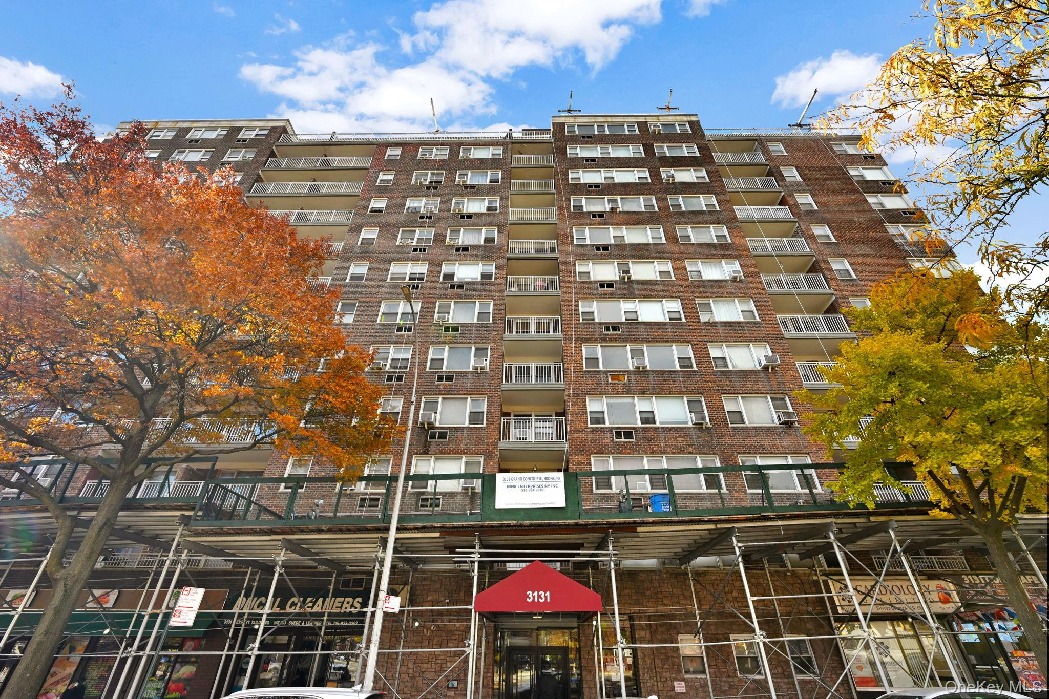 3131 Grand Concourse