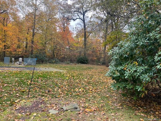 Yard